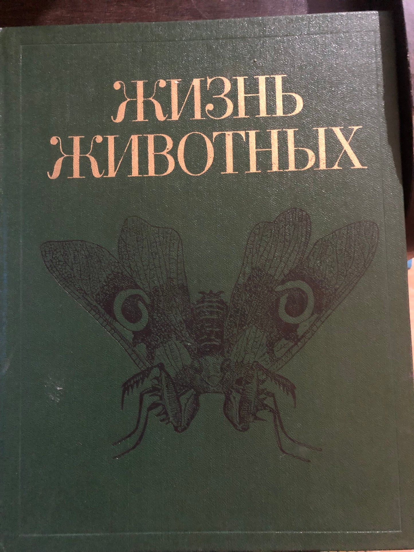 ЖИЗНЬ ЖИВОТНЫХ