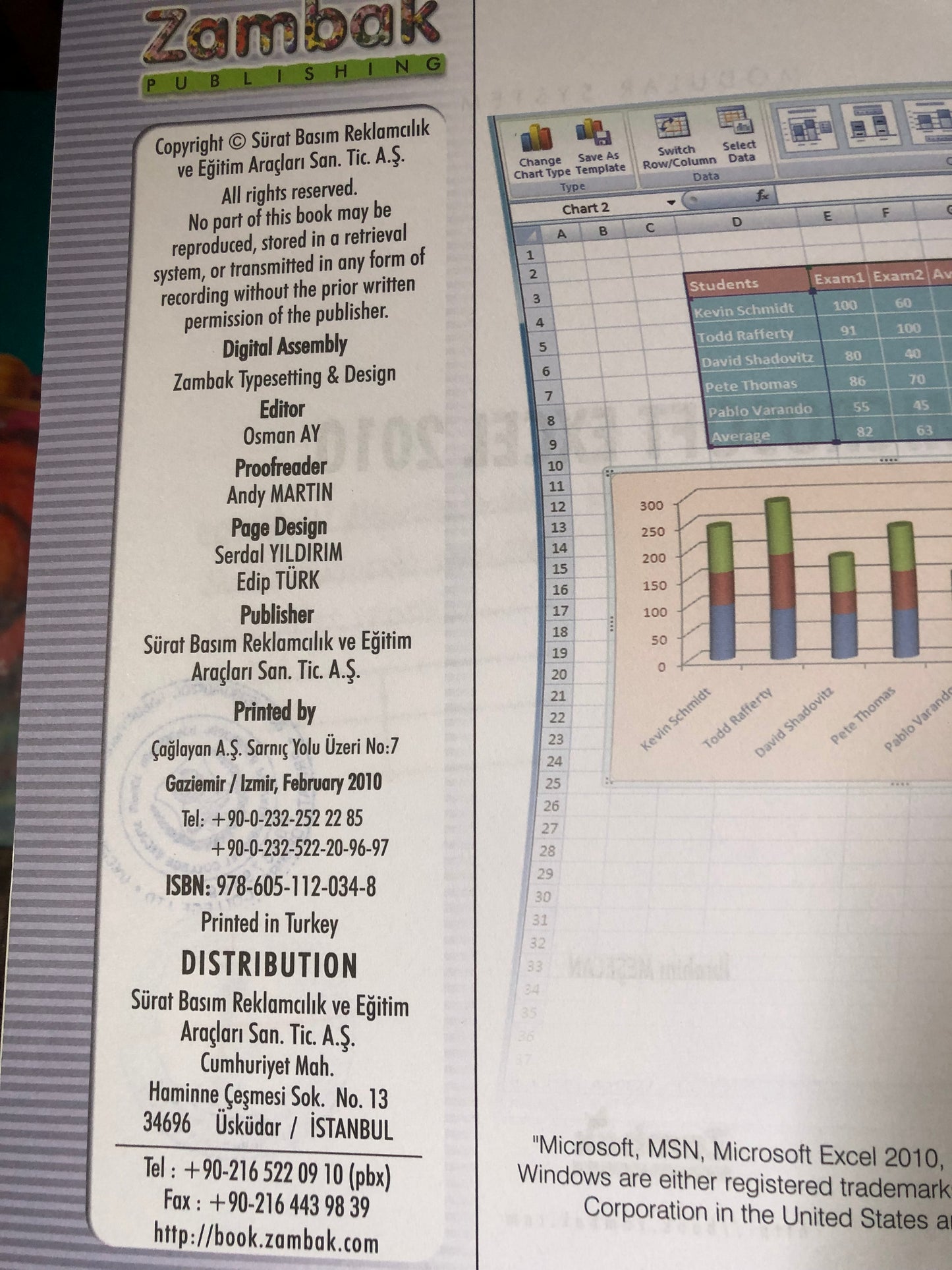 Microsoft EXCEL 2010(computer series)