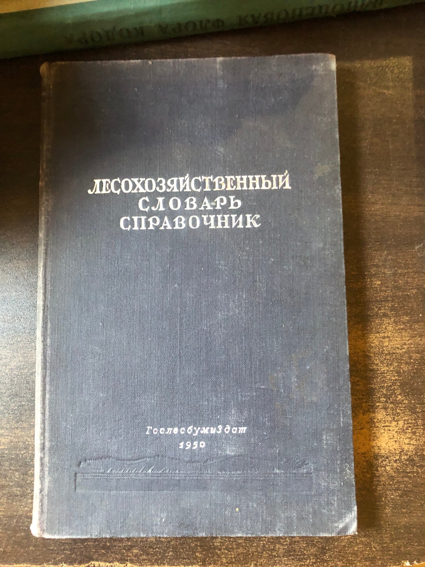ЛЕСОХОЗЯЙСТВЕННЫЙ СЛОВАРЬ СПРАВОЧНИК