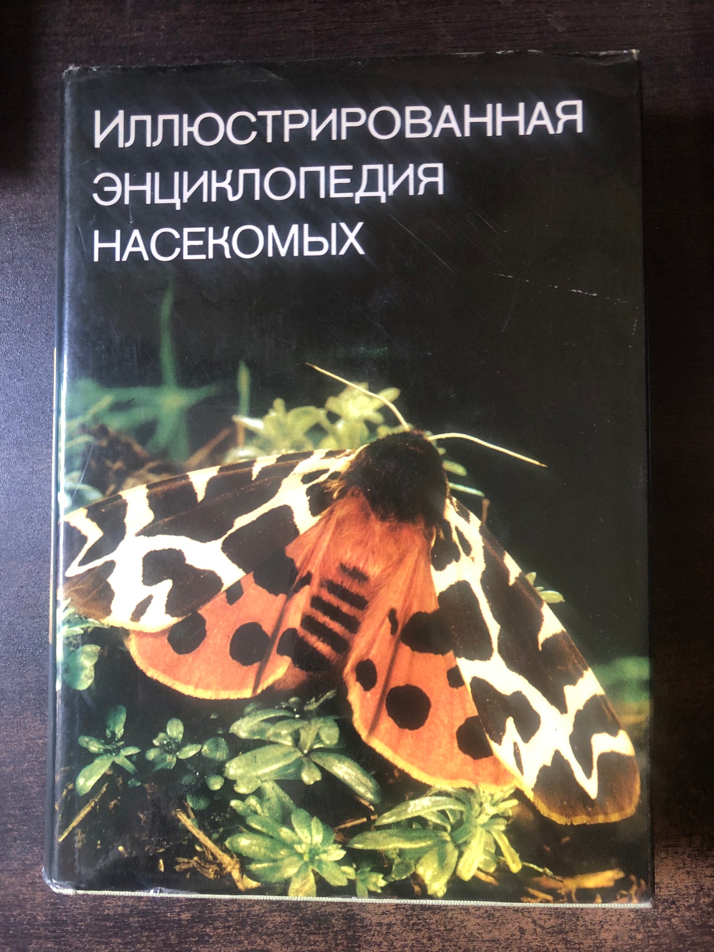 ИЛЛЮСТРИРОВАННАЯ ЭНЦИКЛОПЕДИЯ НАСЕКОМЫХ