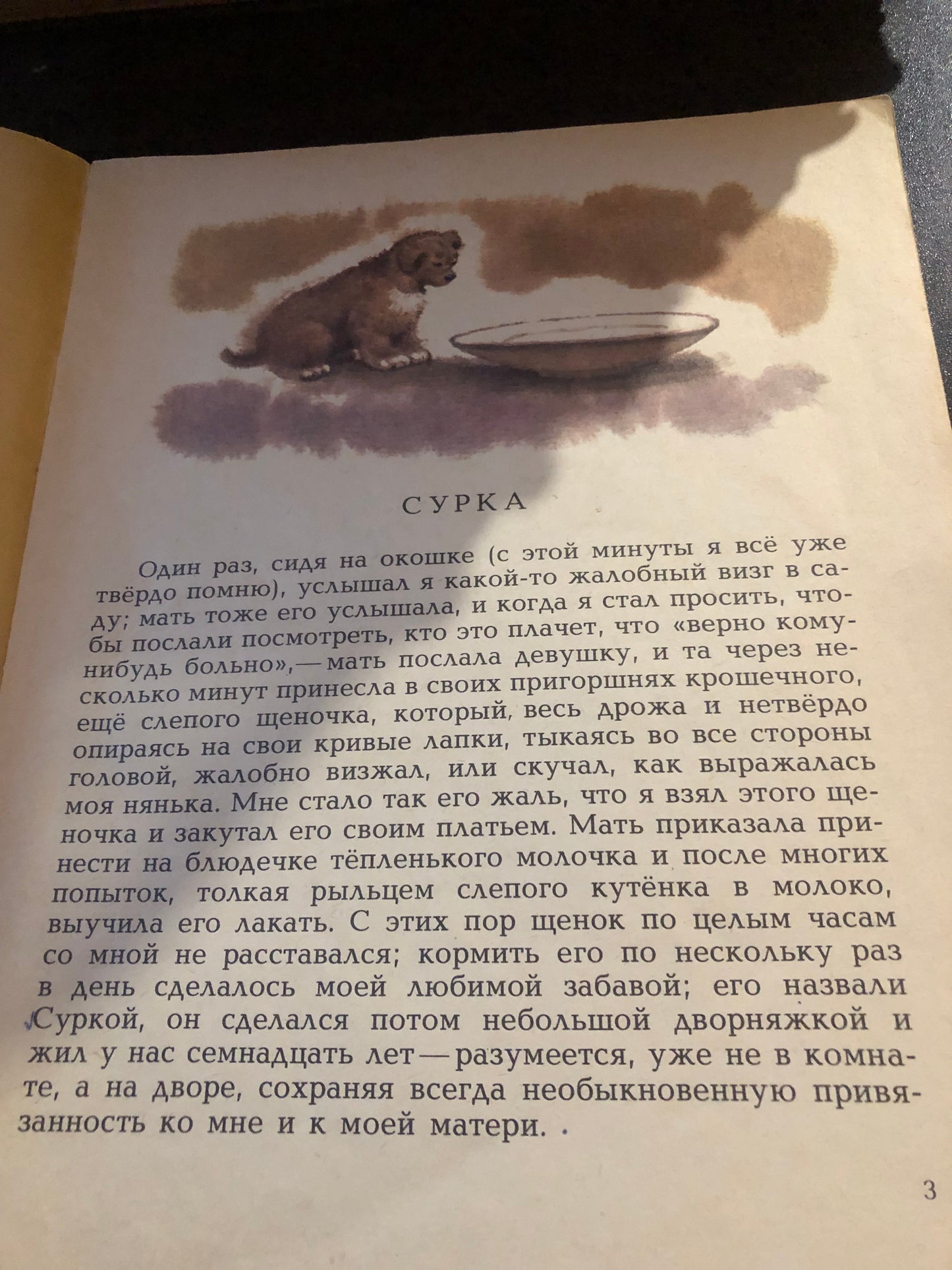 ПЕРВАЯ ВЕСНА В ДЕРЕВНЕ