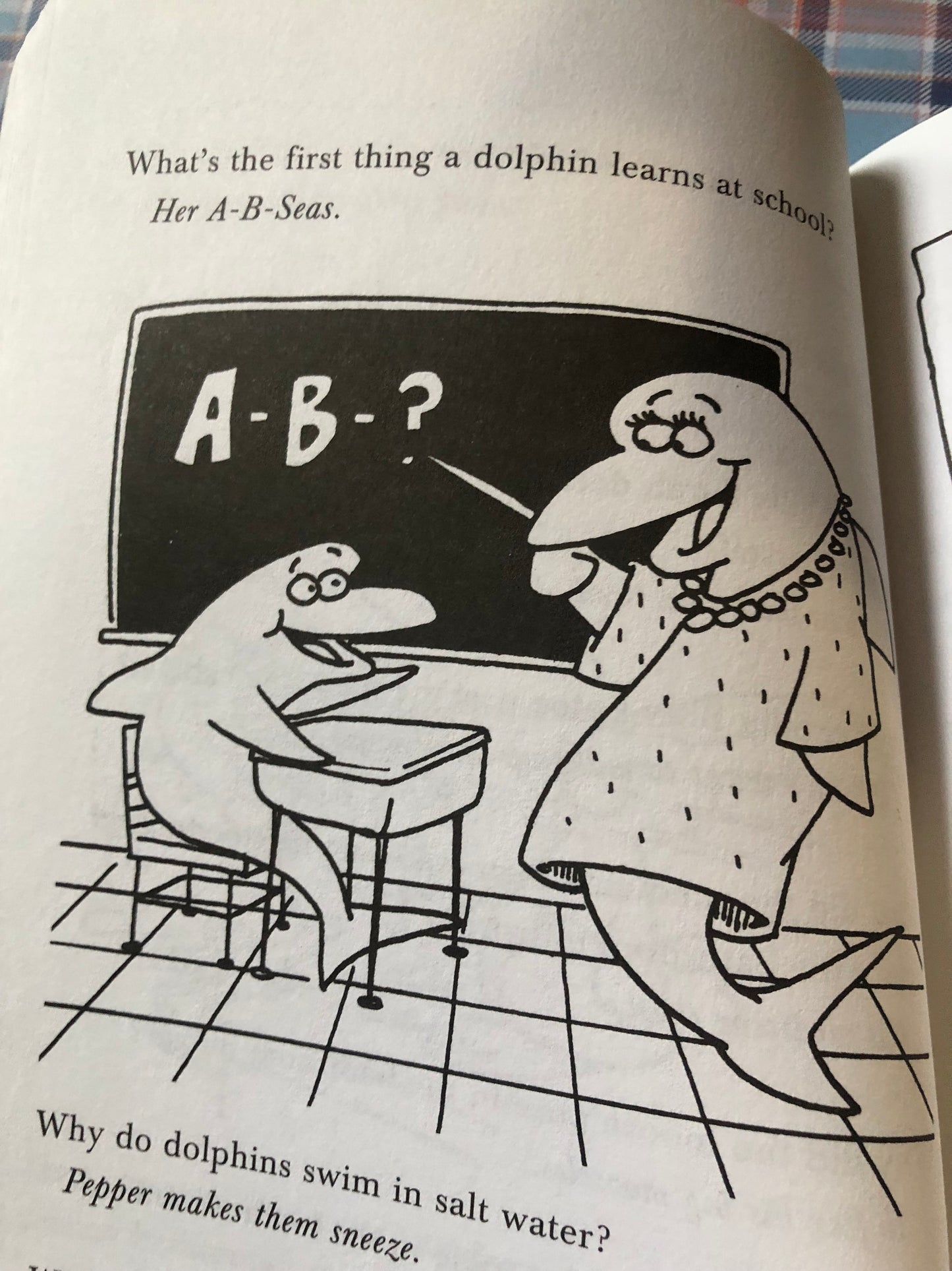Kid’s silliest jokes