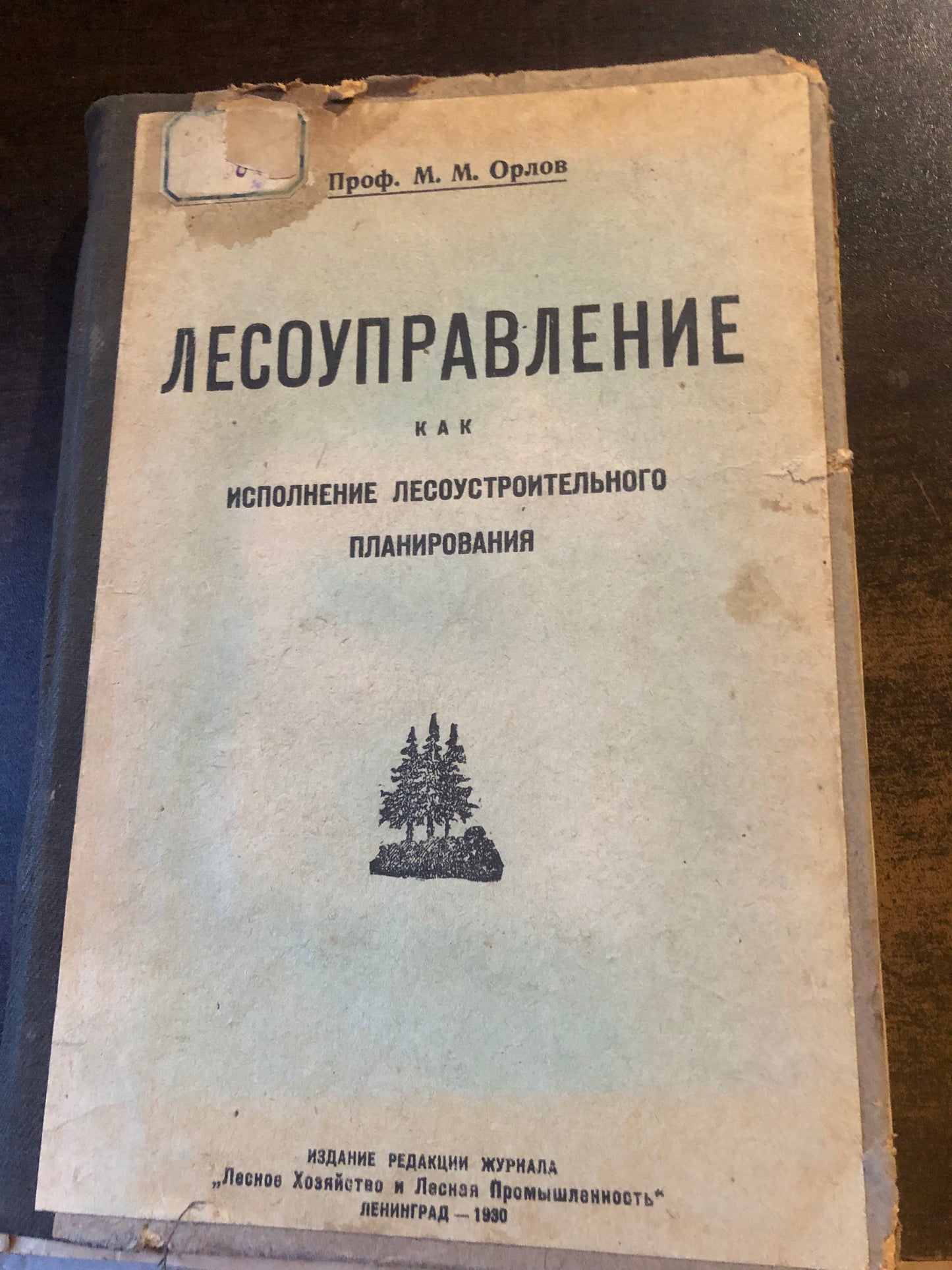 ЛЕСОУПРАВЛЕНИЕ КАК МСПОЛНЕНИЕ ЛЕСОУСТРОИТЕЛЬНОГО ПЛАНИРОВАНИЯ