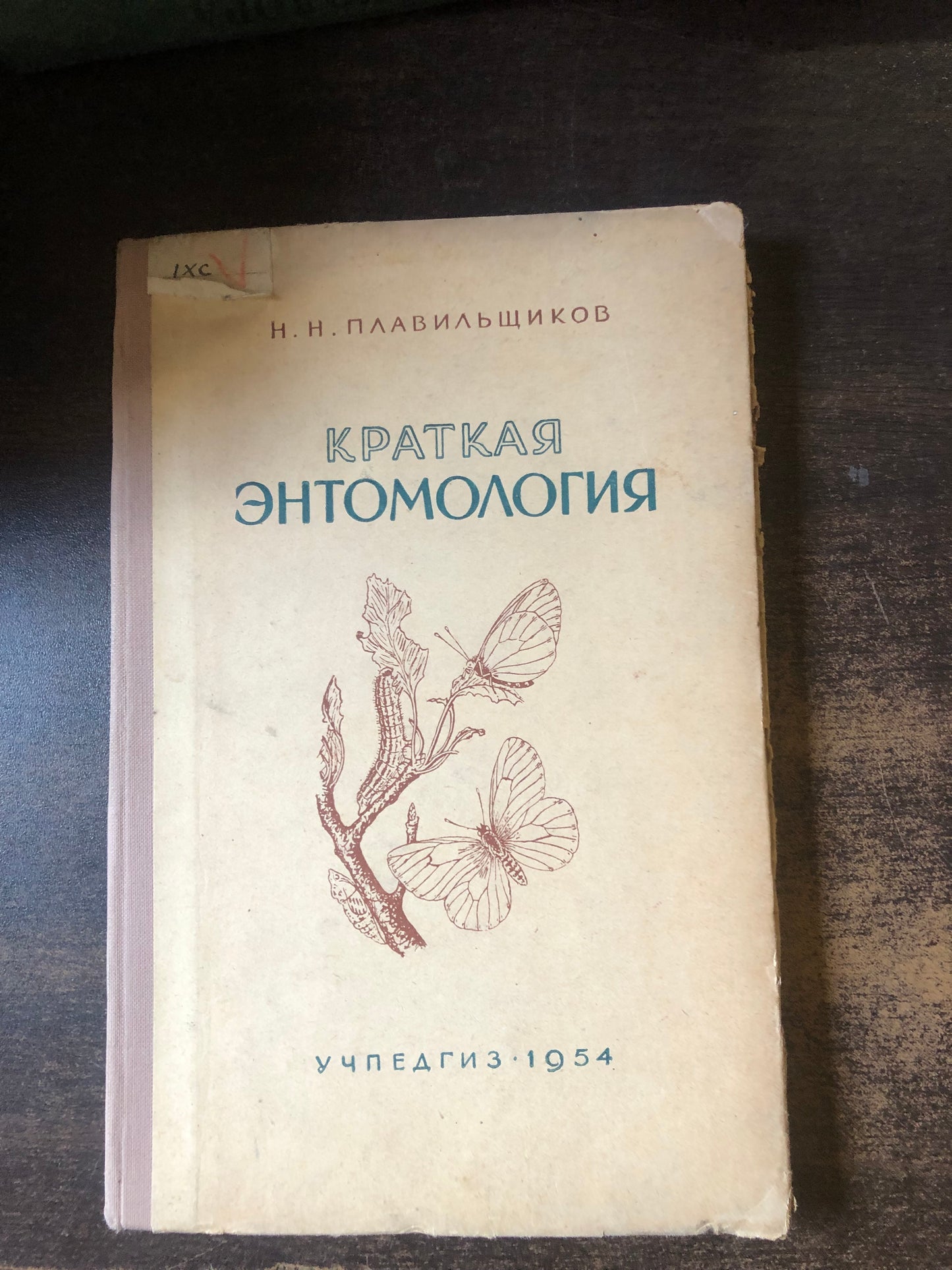 КРАТКАЯ ЭНТОМОЛОГИЯ