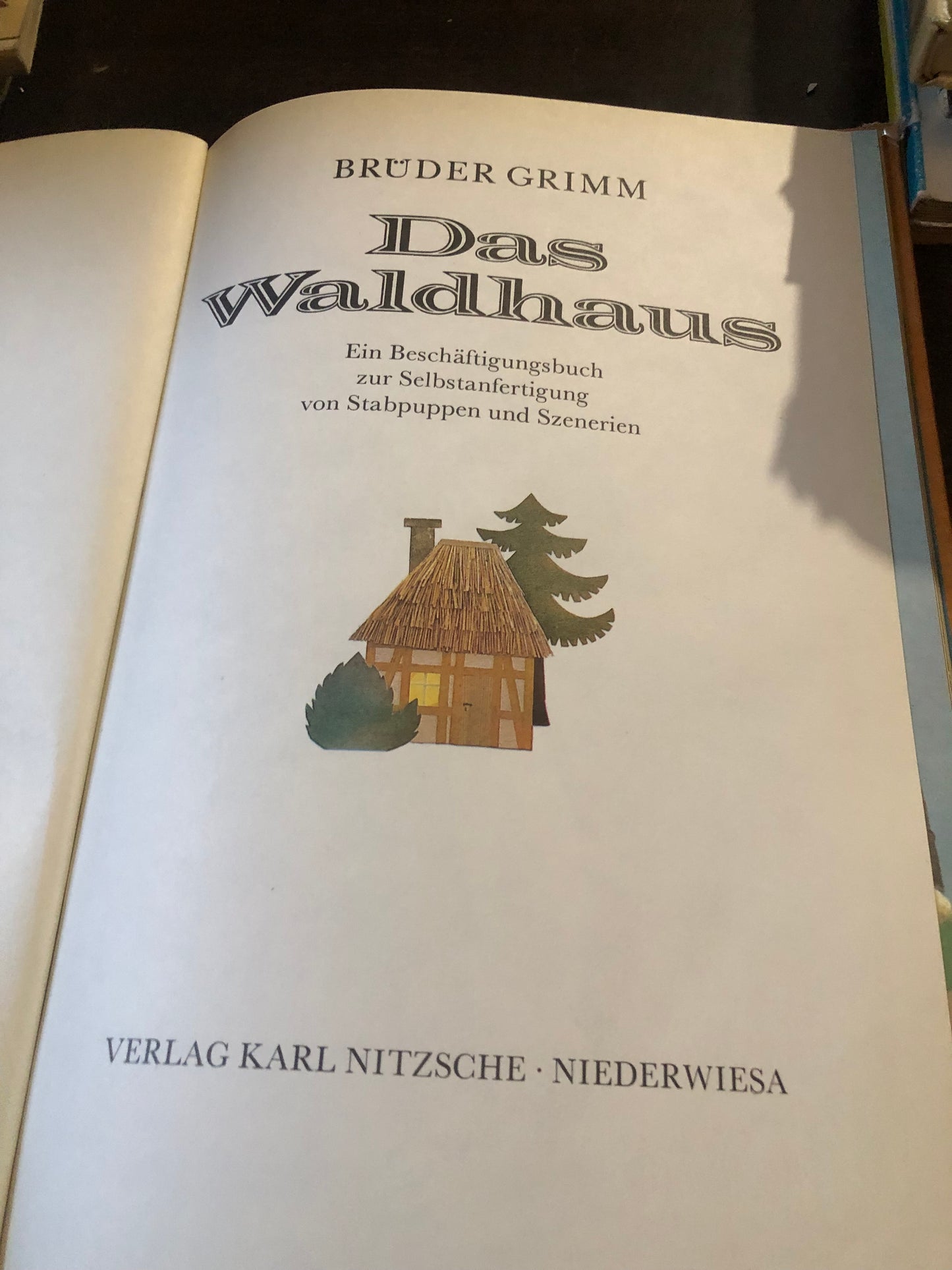 Brüder Grimm- Das waldhaus