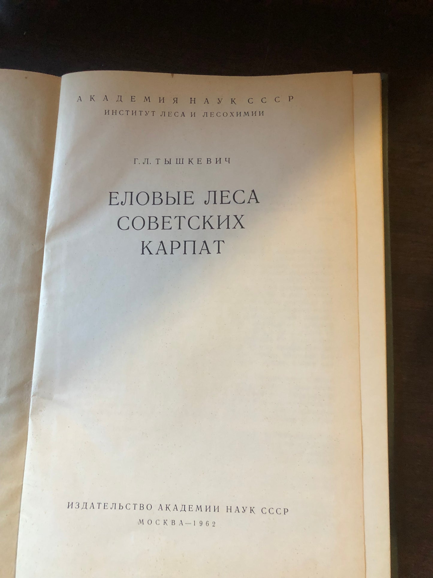 ЕЛОВЫЕ ЛЕСА СОВЕТСКИХ КАРПАТ