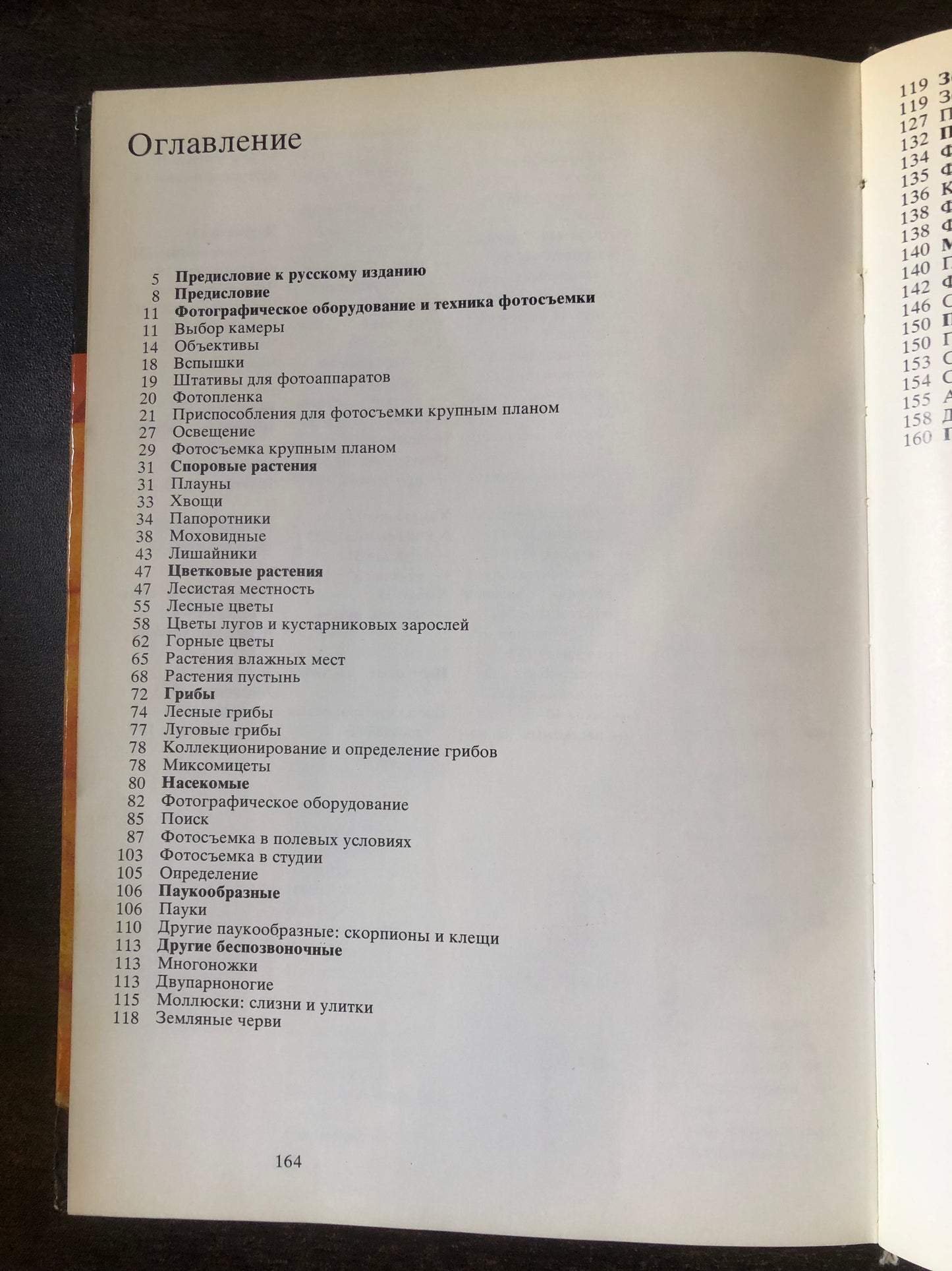 ФОТОГРАФИРОВАНИЕ ЖИВОЙ ПРИРОДЫ