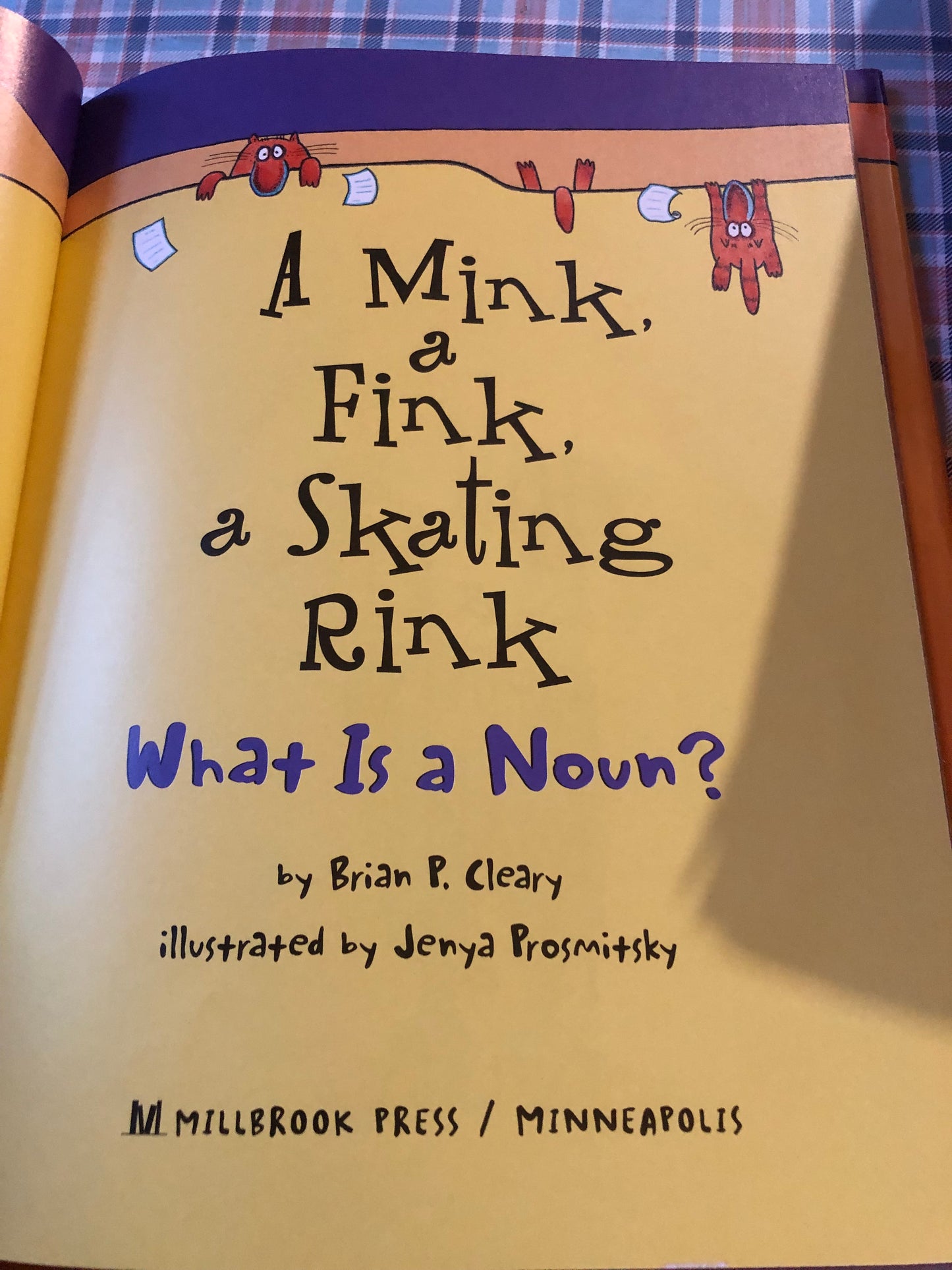 B. P. Cleary - A Misk, a Fink, a Skating Rink