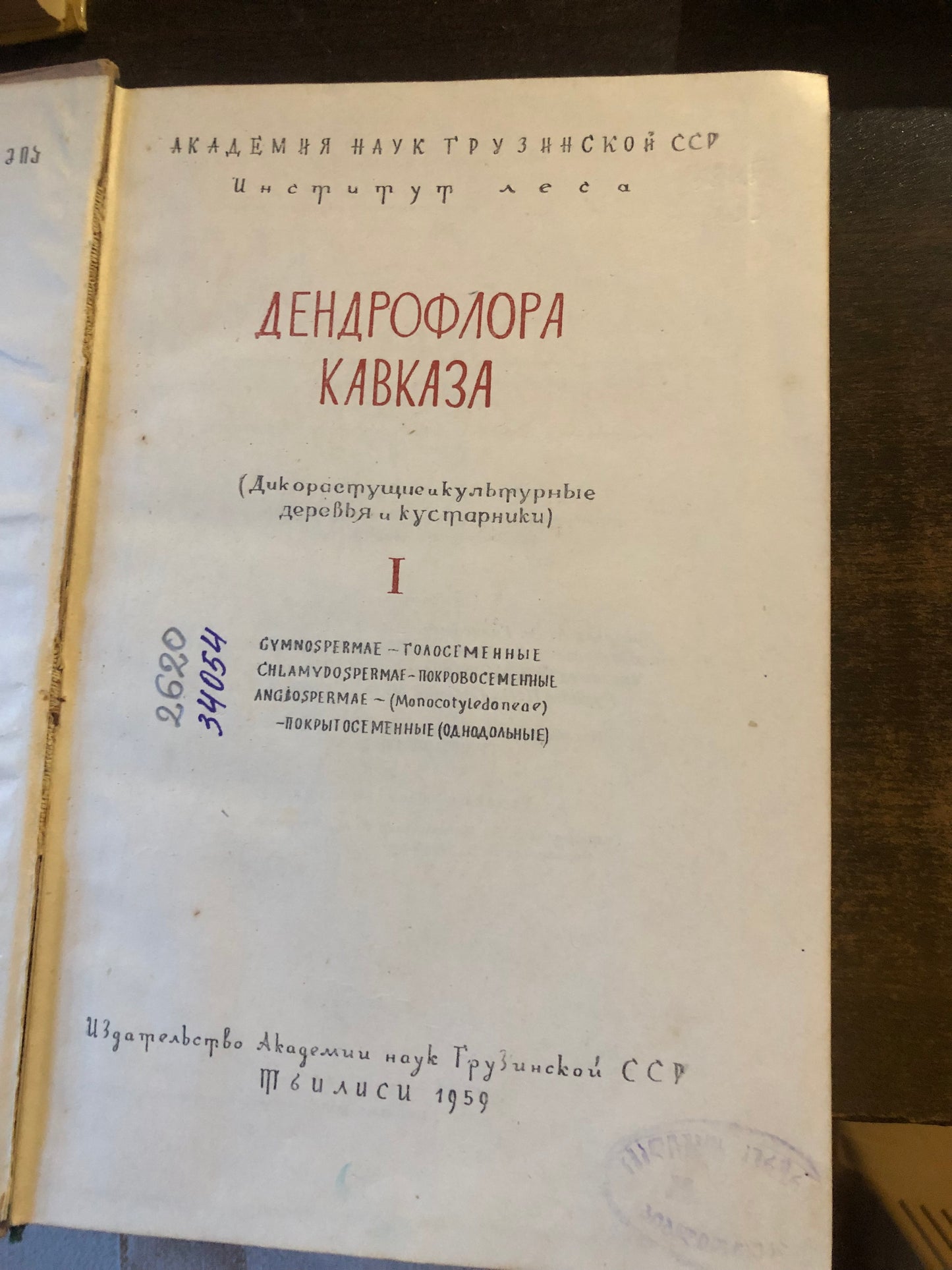 ДЕНДРОФЛОРА КАВКАЗА 1