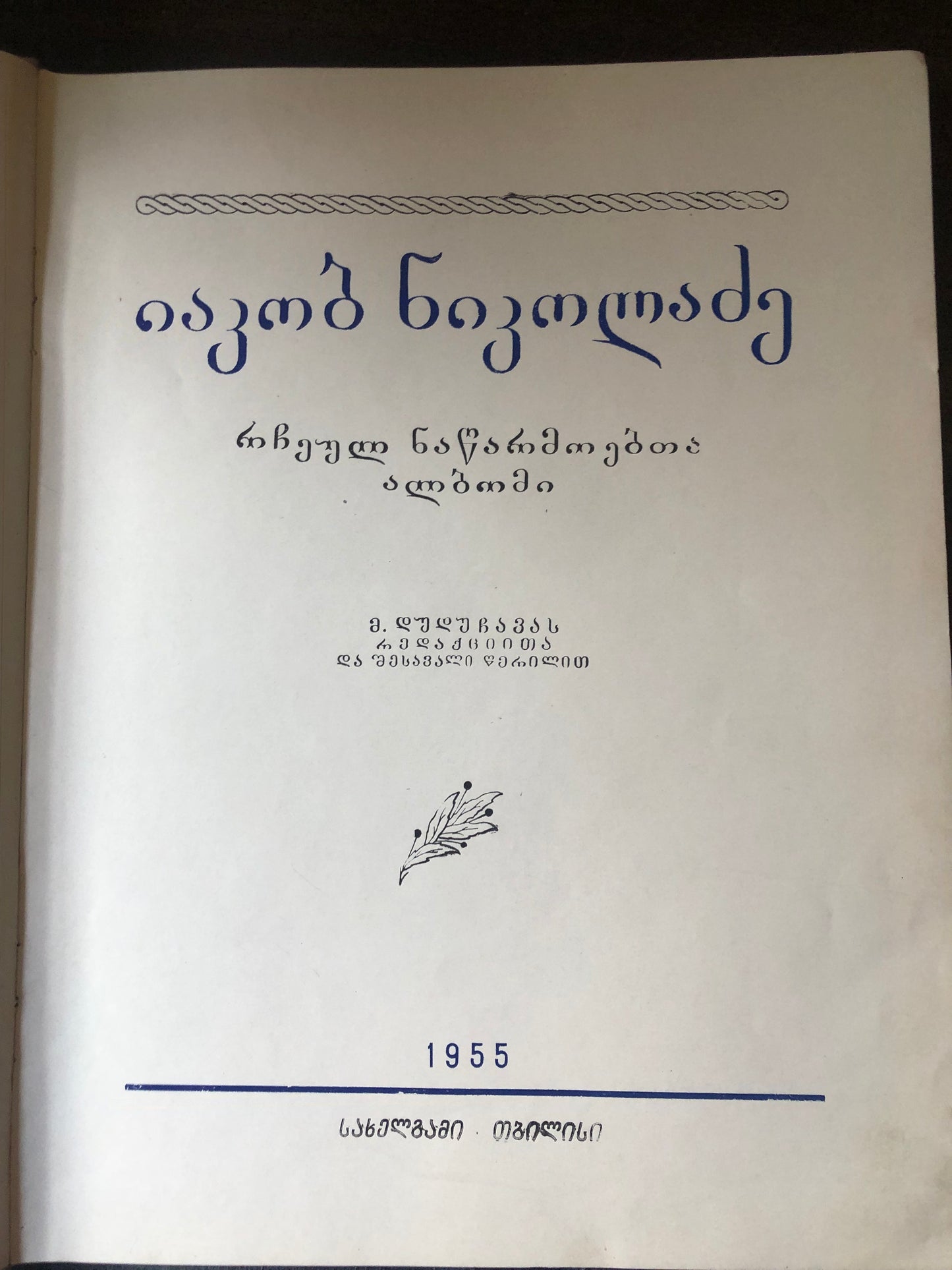 იაკობ ნიკოლაძე