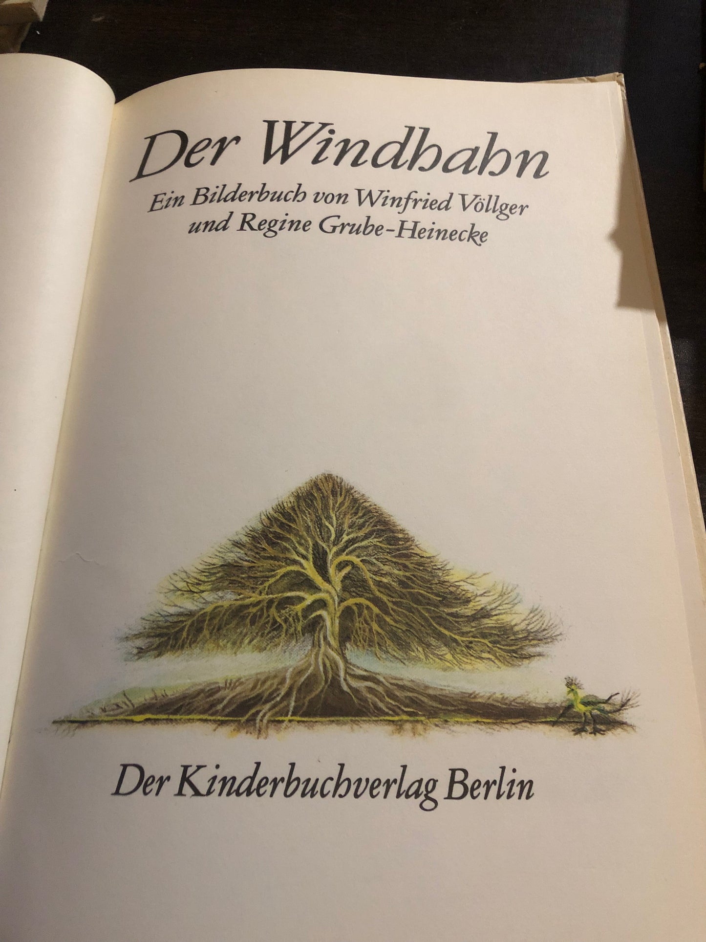 W. Völlger, R. Grube-heinecke - Der Windbabn