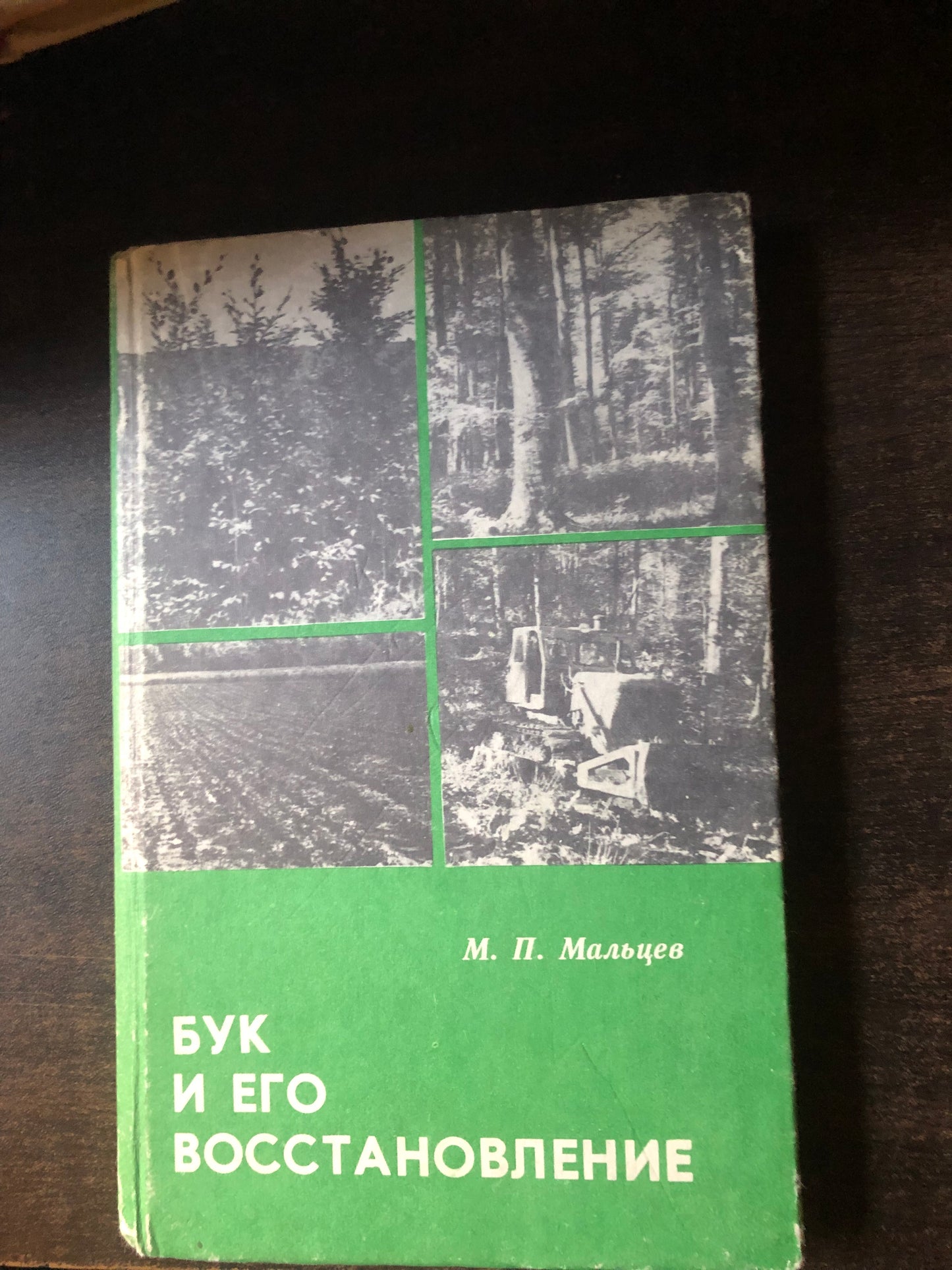 БУК И ЕГО ВОССТАНОВЛЕНИЕ