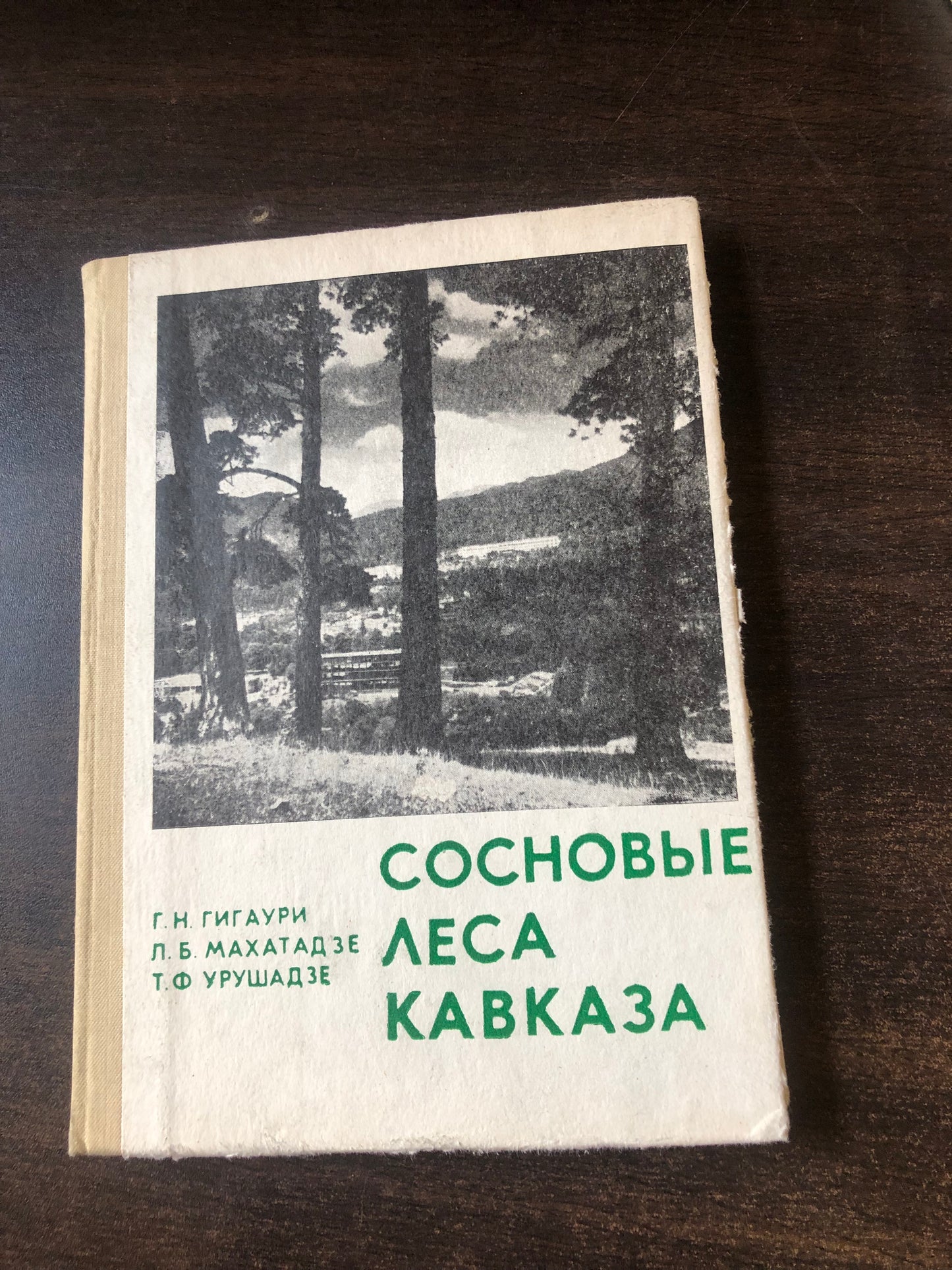 СОСНОВЫЕ ЛЕСА КАВКАЗА