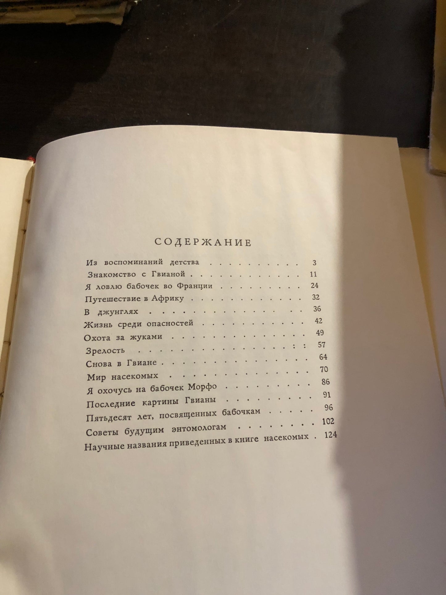 МОЯ ООТА ЗА БАБОЧКАМИ
