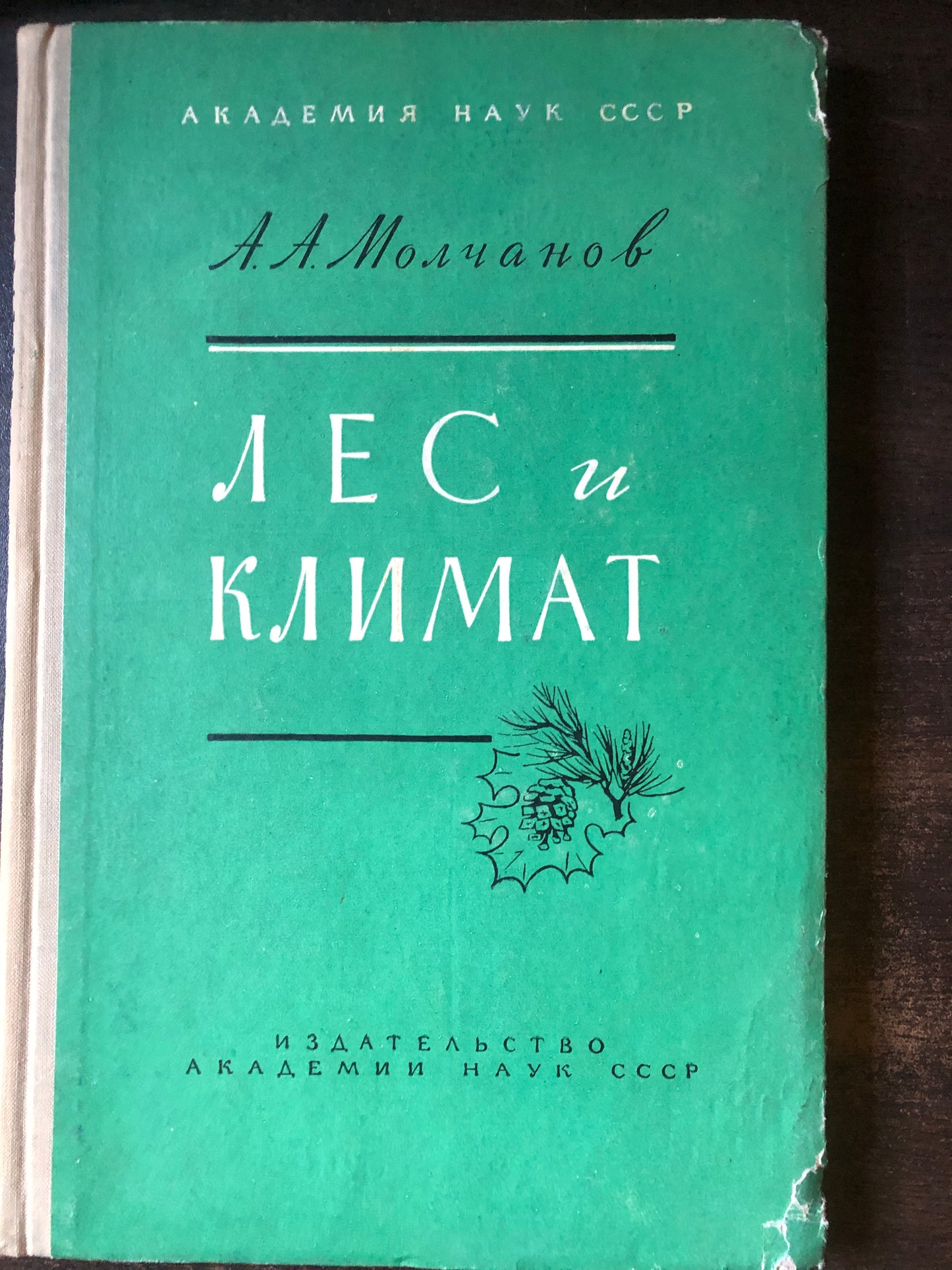 ЛЕС И КЛИМАТ