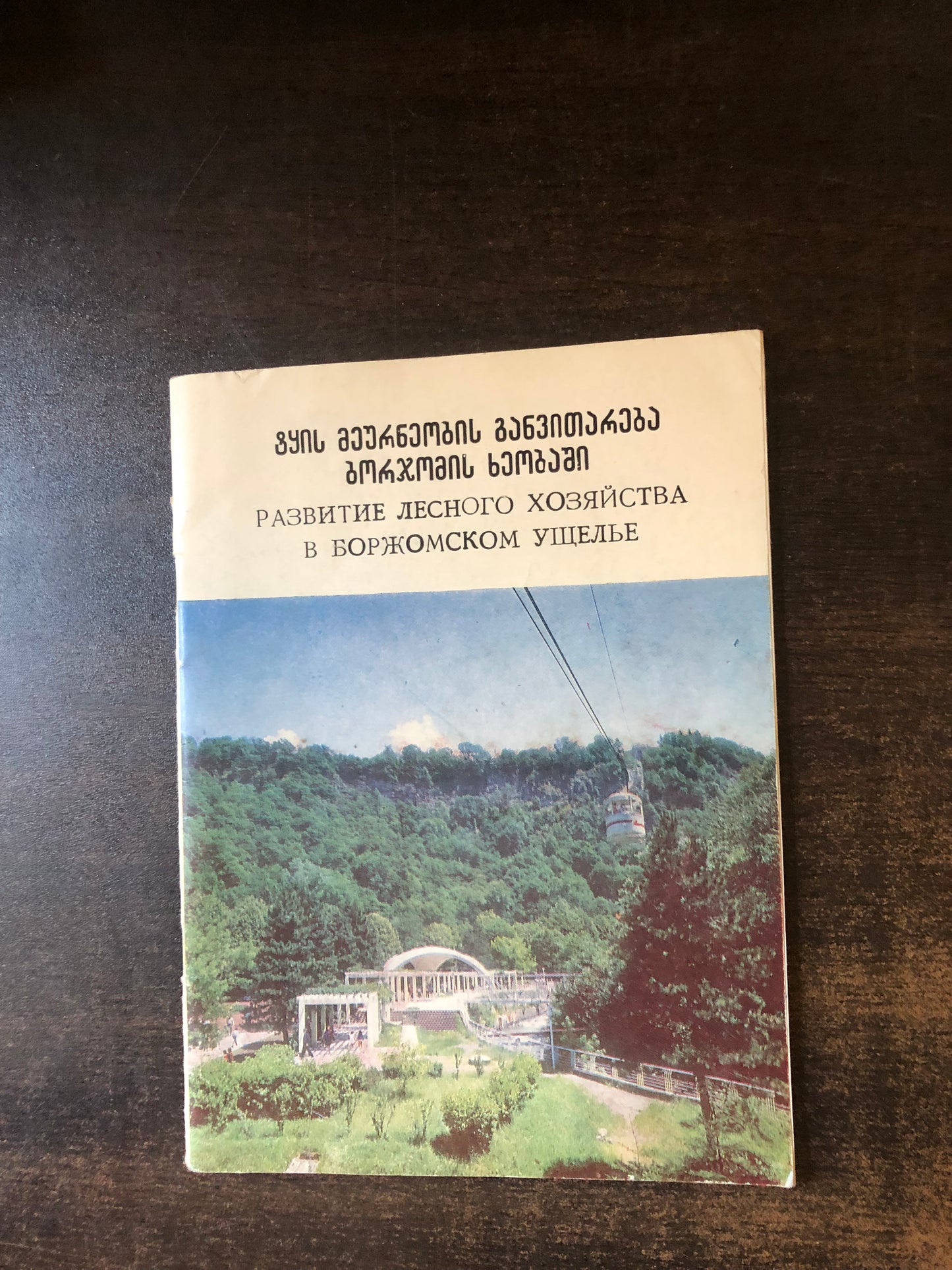 ტყის მეურნეობის განვითარება ბორჯომის ხეობაში