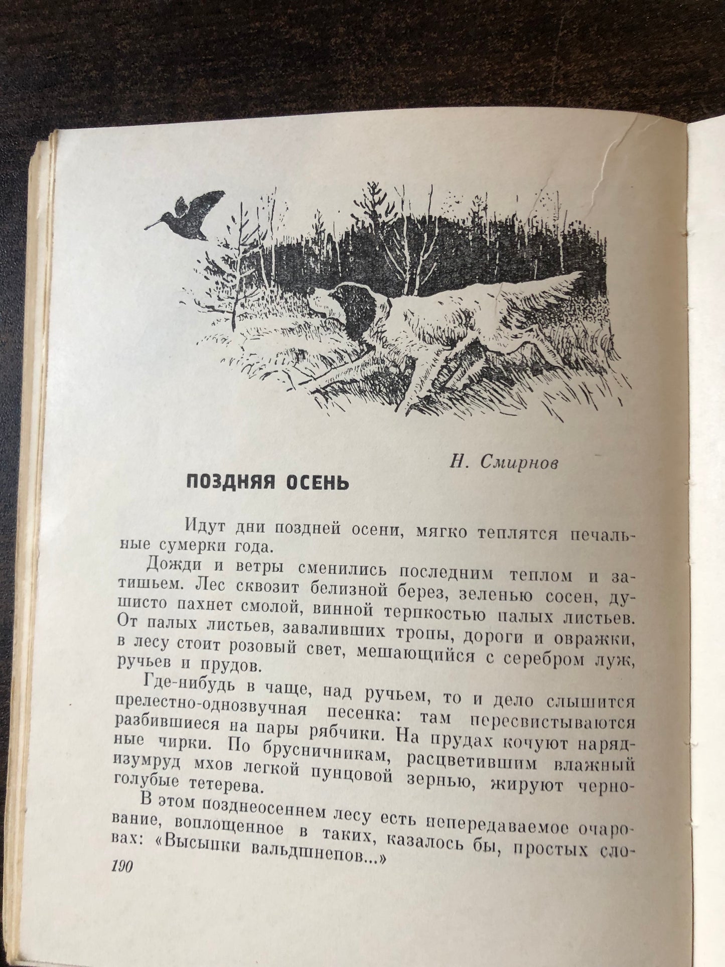 ОХОТНИЧЬИ ЗОРИ