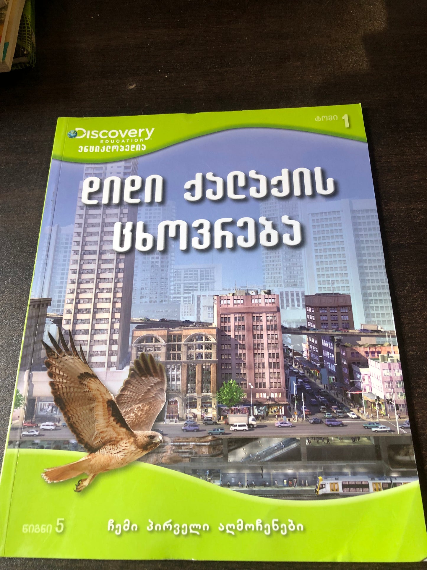 დიდი ქალაქის ცხოვრება