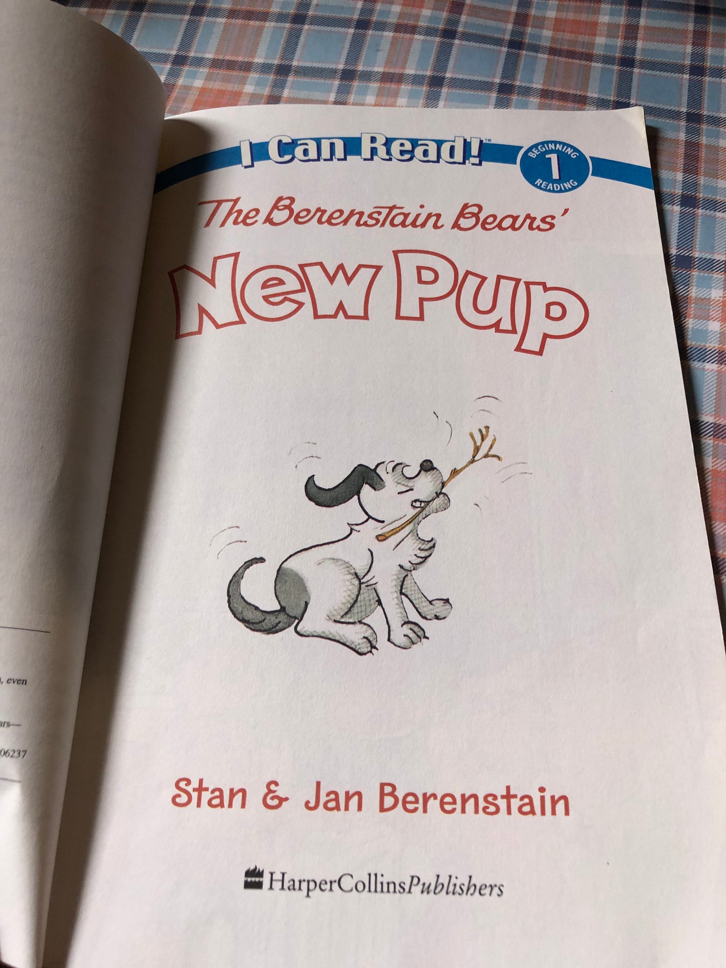 S.&J. Berenstain - The berenstain bears’ - new pup