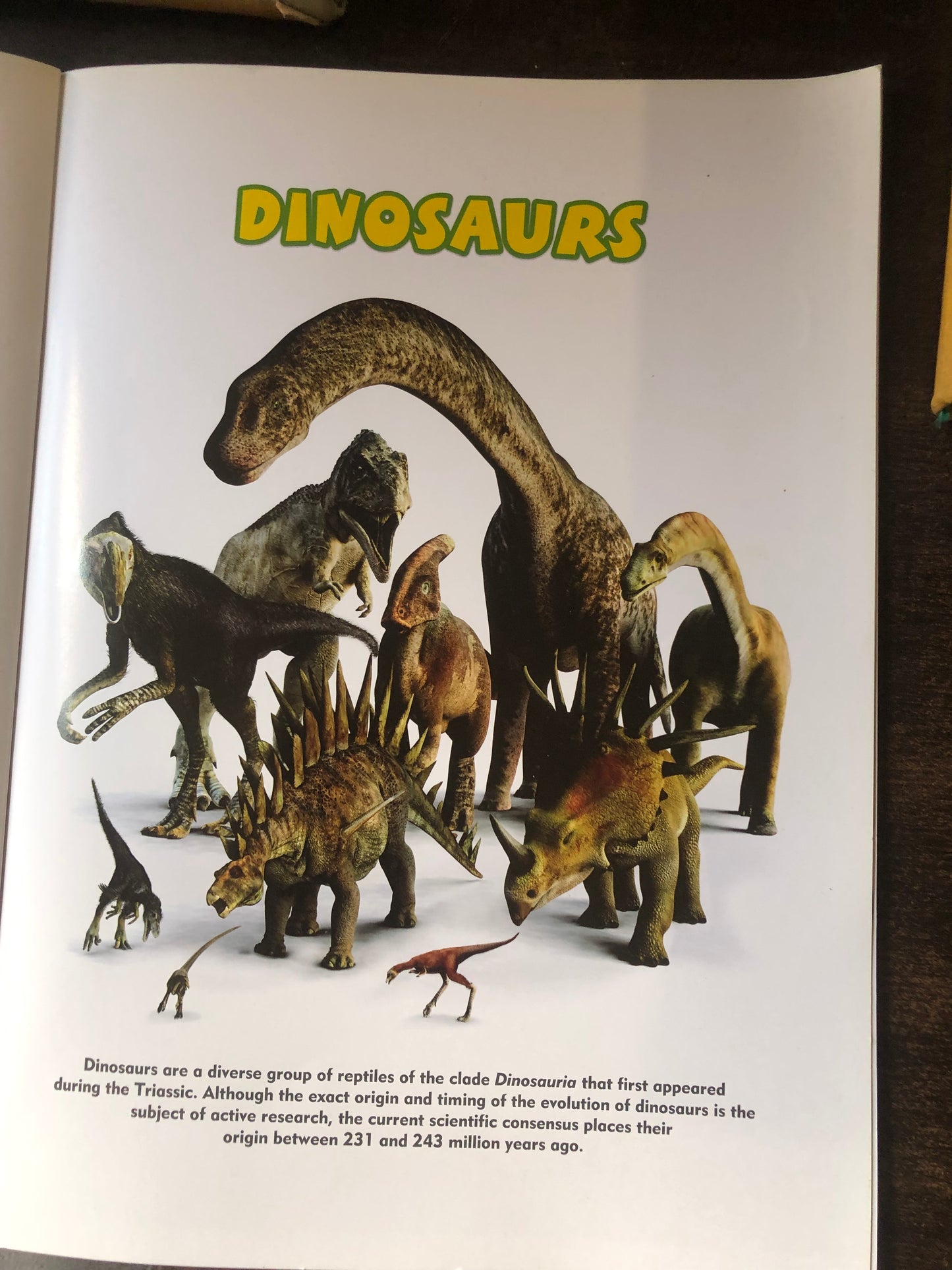 Dinosaur park