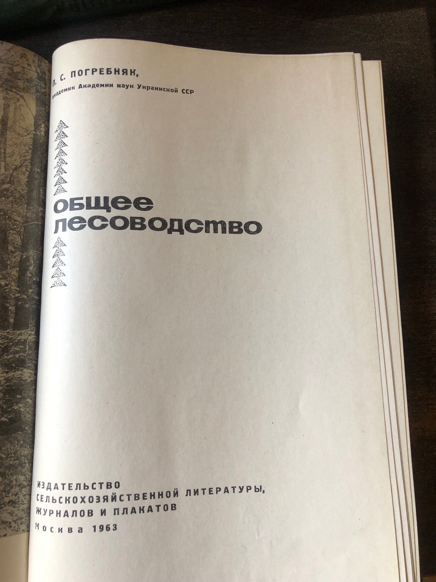 ОБЩЕЕ ЛЕСОВОДСТВО
