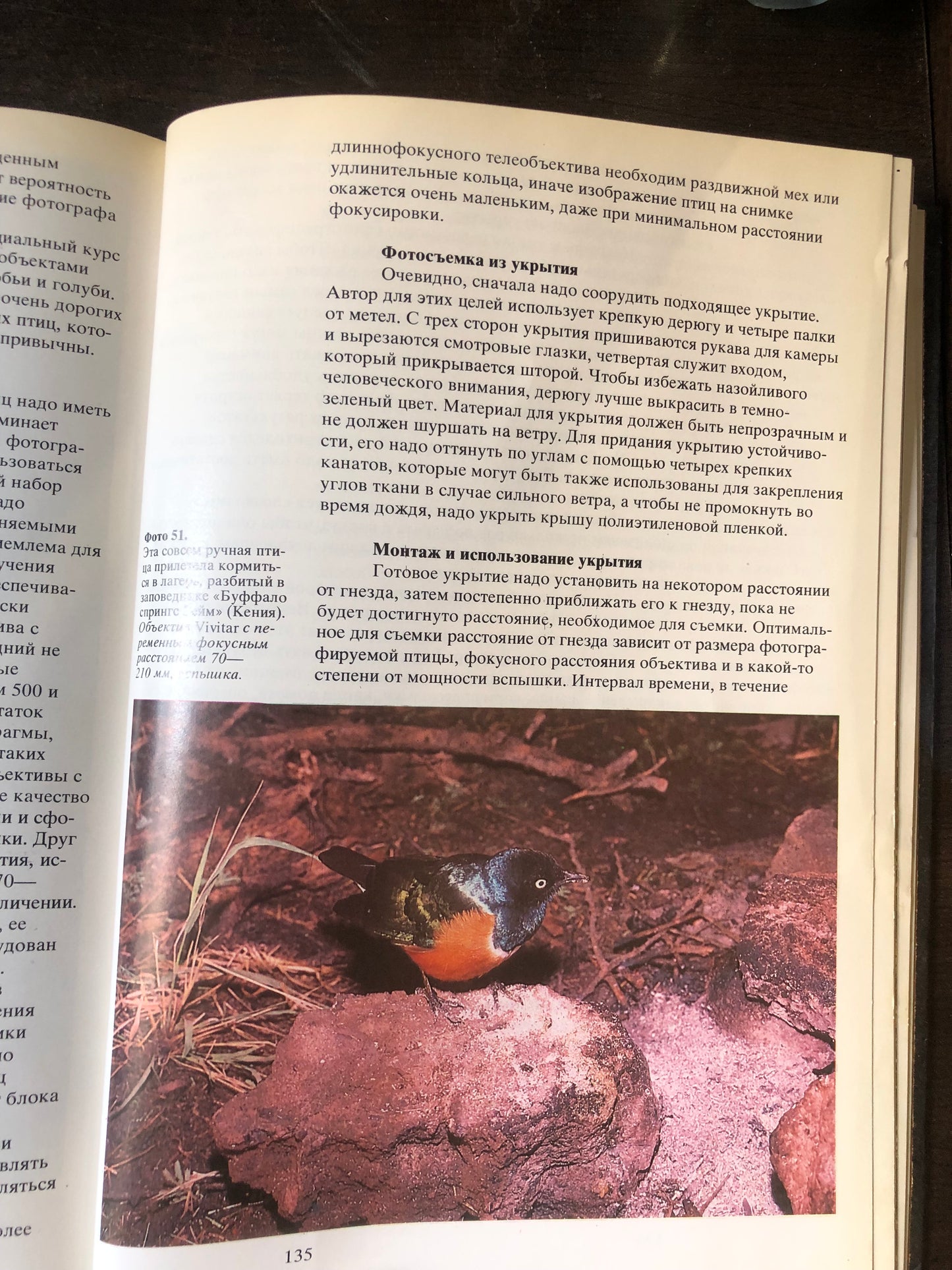 ФОТОГРАФИРОВАНИЕ ЖИВОЙ ПРИРОДЫ