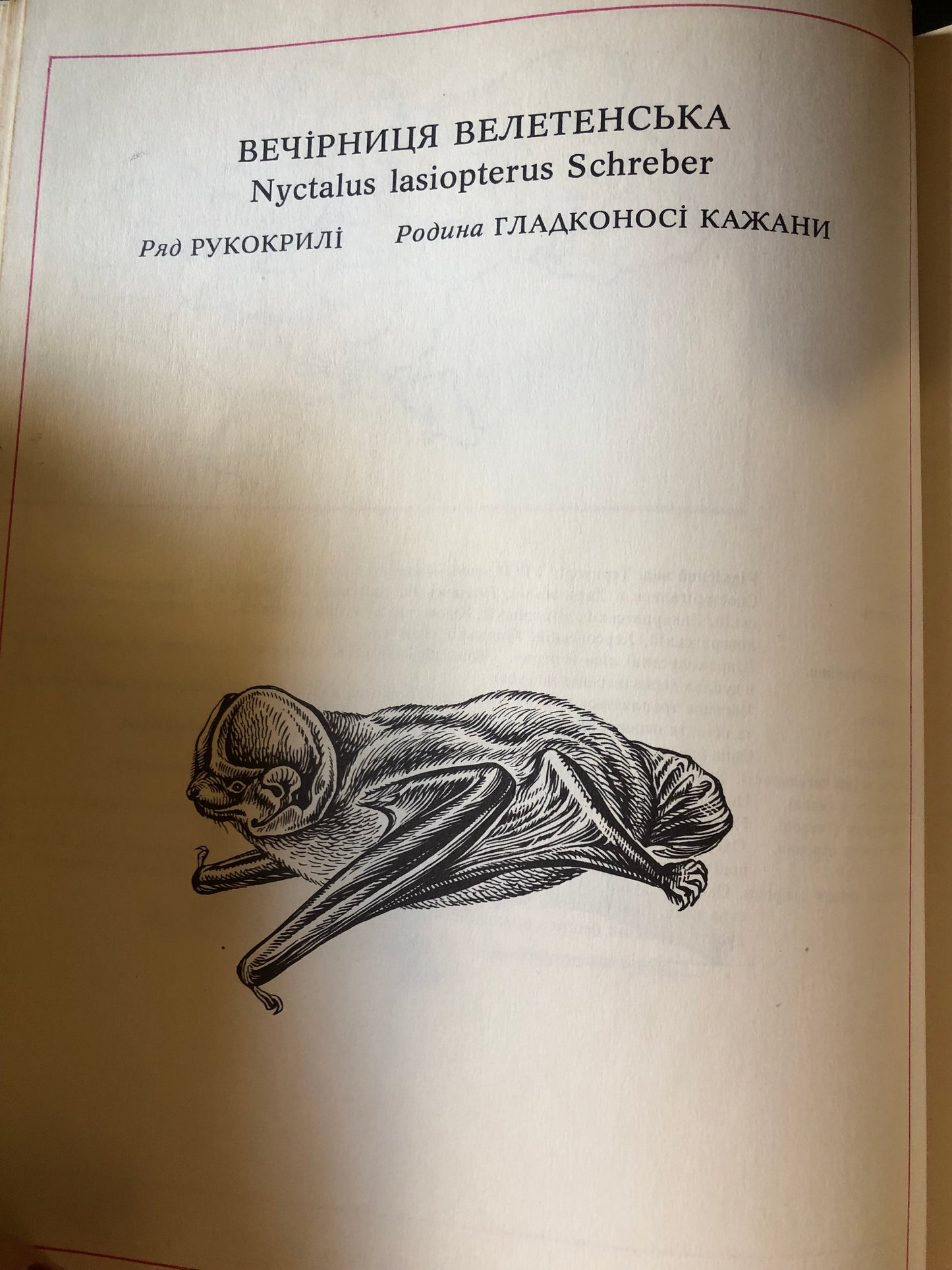 ЧЕРВОНА КНИГА УКРАЇНСЬКОЇ РСР