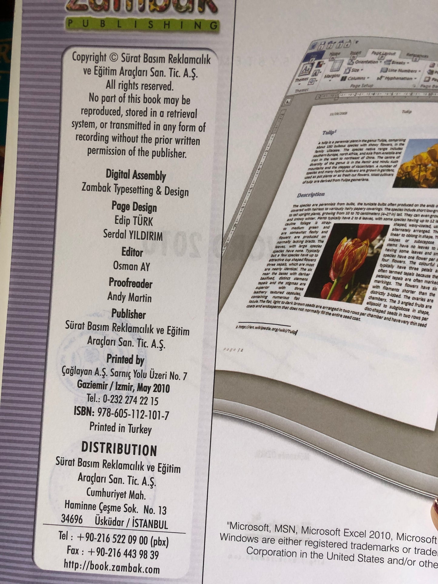 Microsoft WORD 2010 (computer series)