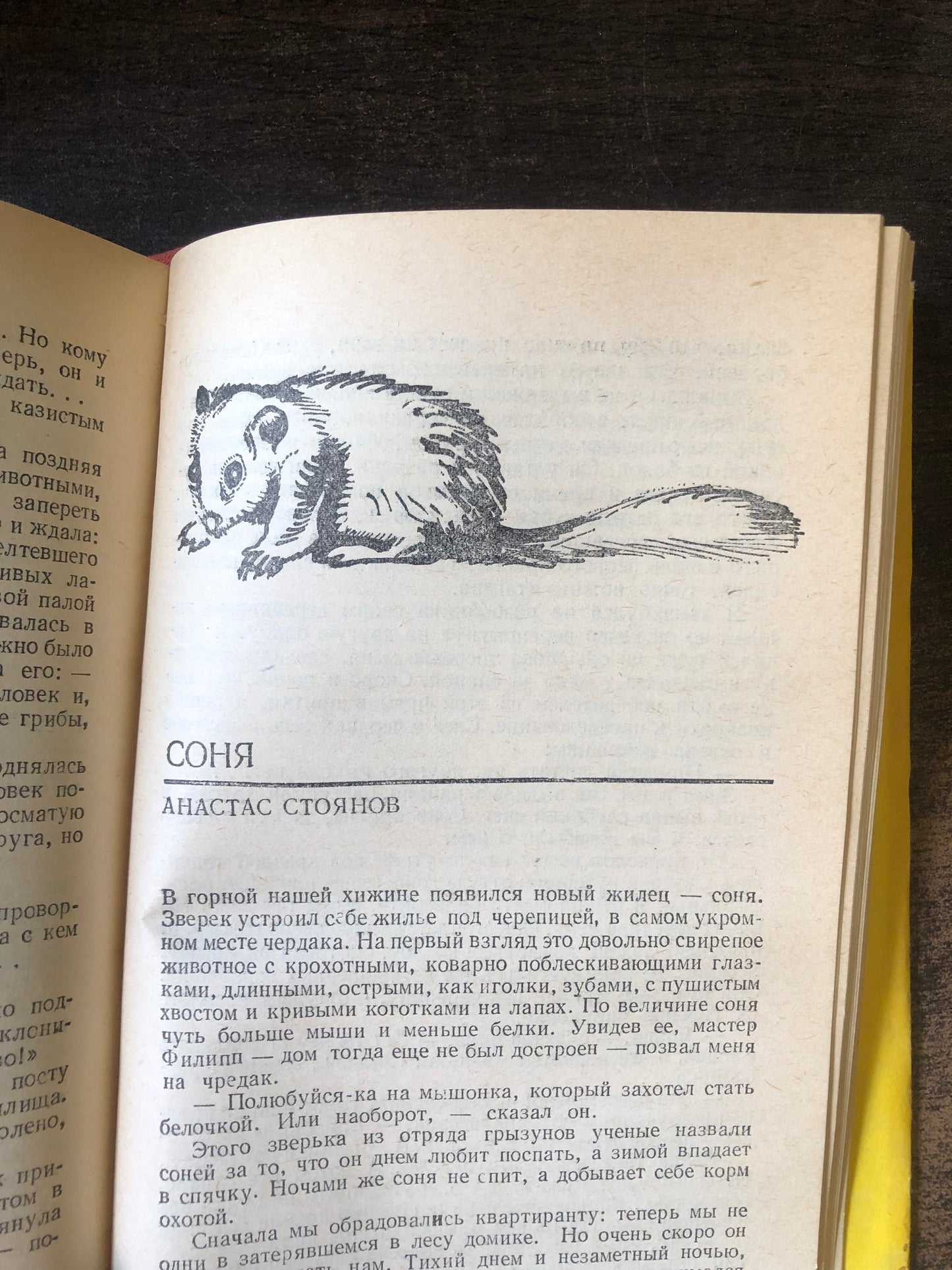 РАССКАЗЫ О ЖИВОТНЫХ
