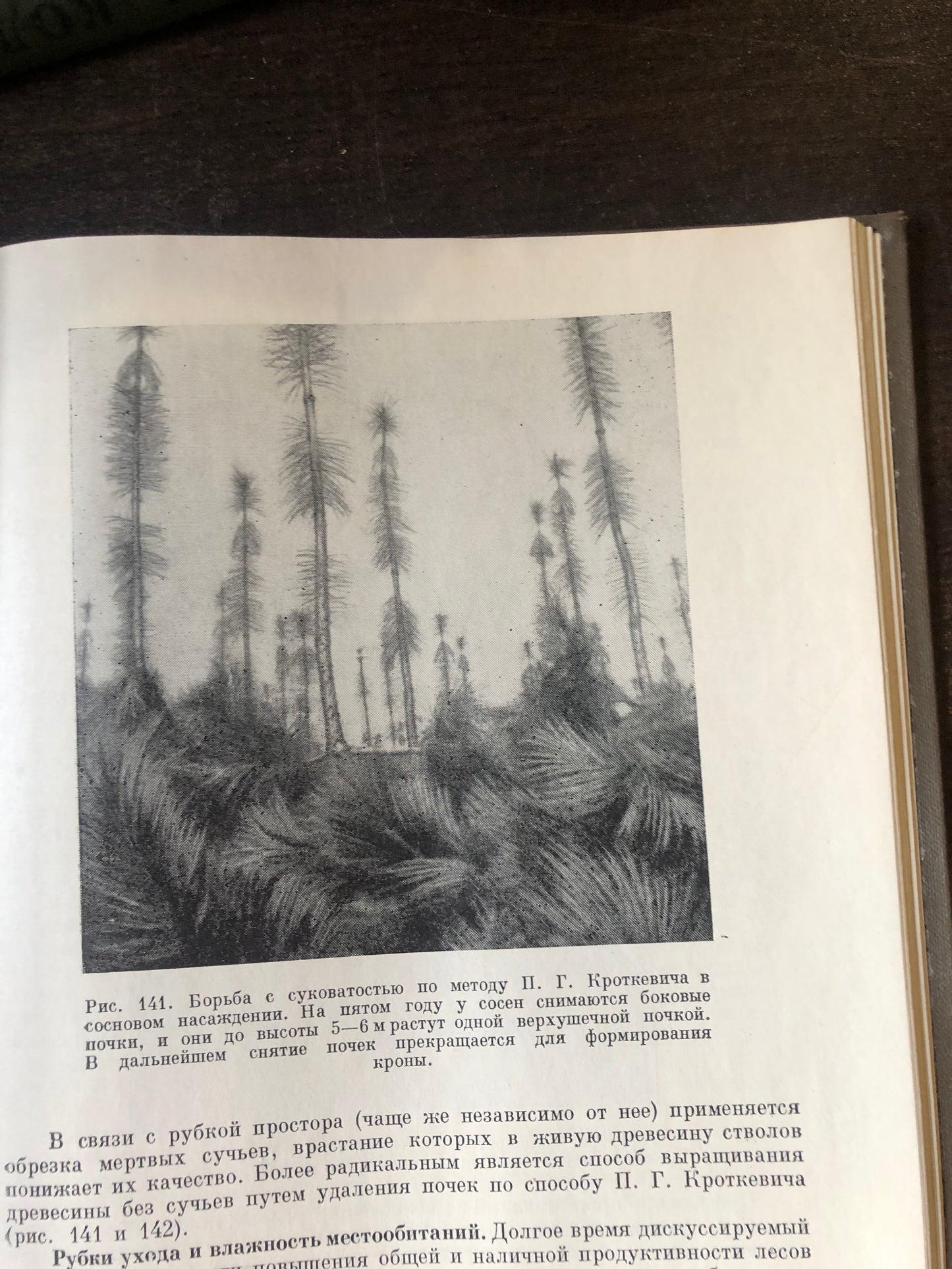 ОБЩЕЕ ЛЕСОВОДСТВО