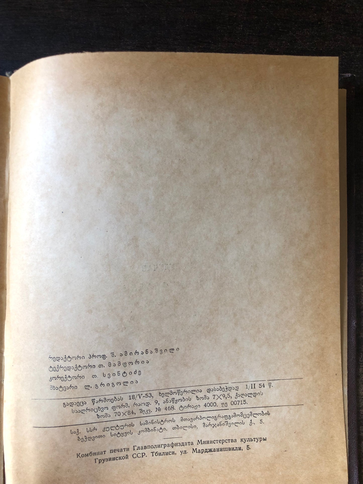 მამია დუდუჩავა - იაკობ ნიკოლაძე