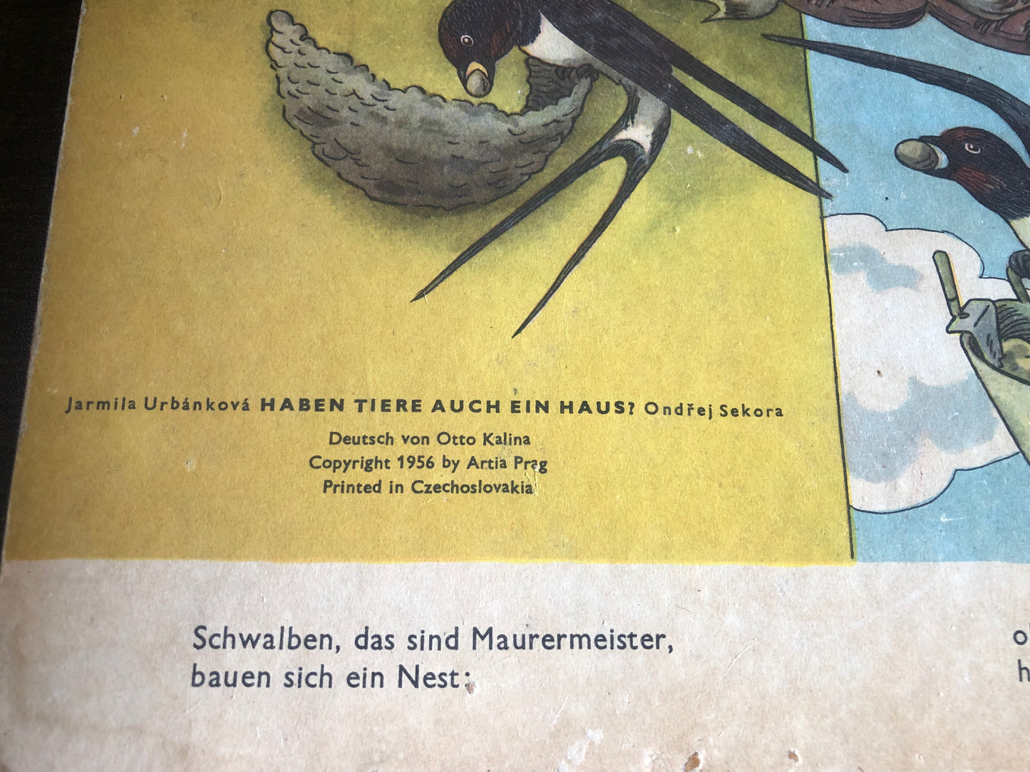 J. Urbankova - haben tiere auch ein haus?