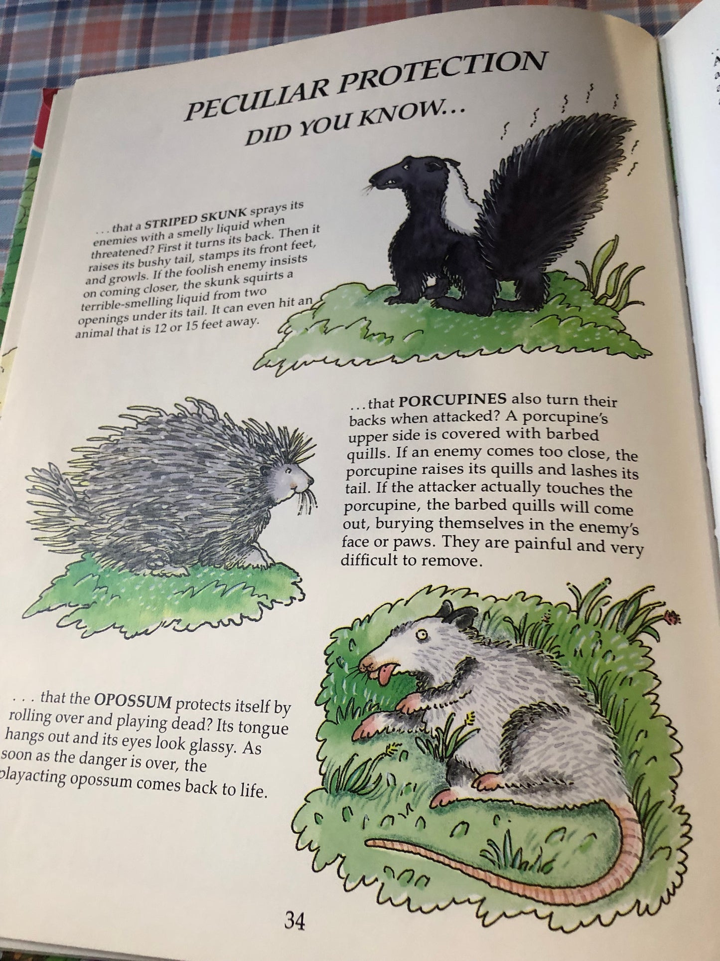 Little People Big Book - About the Animal Kingdom
