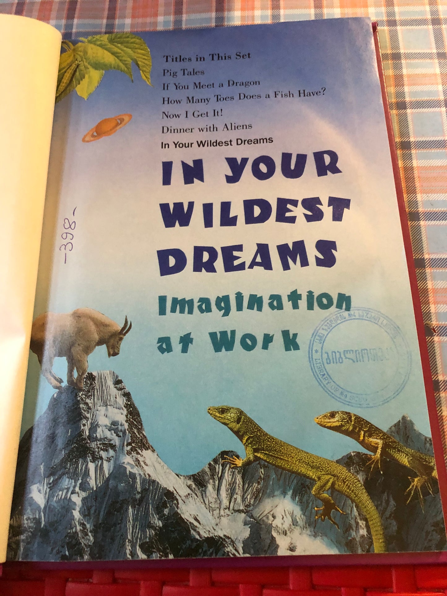 In Your Wildest Dreams