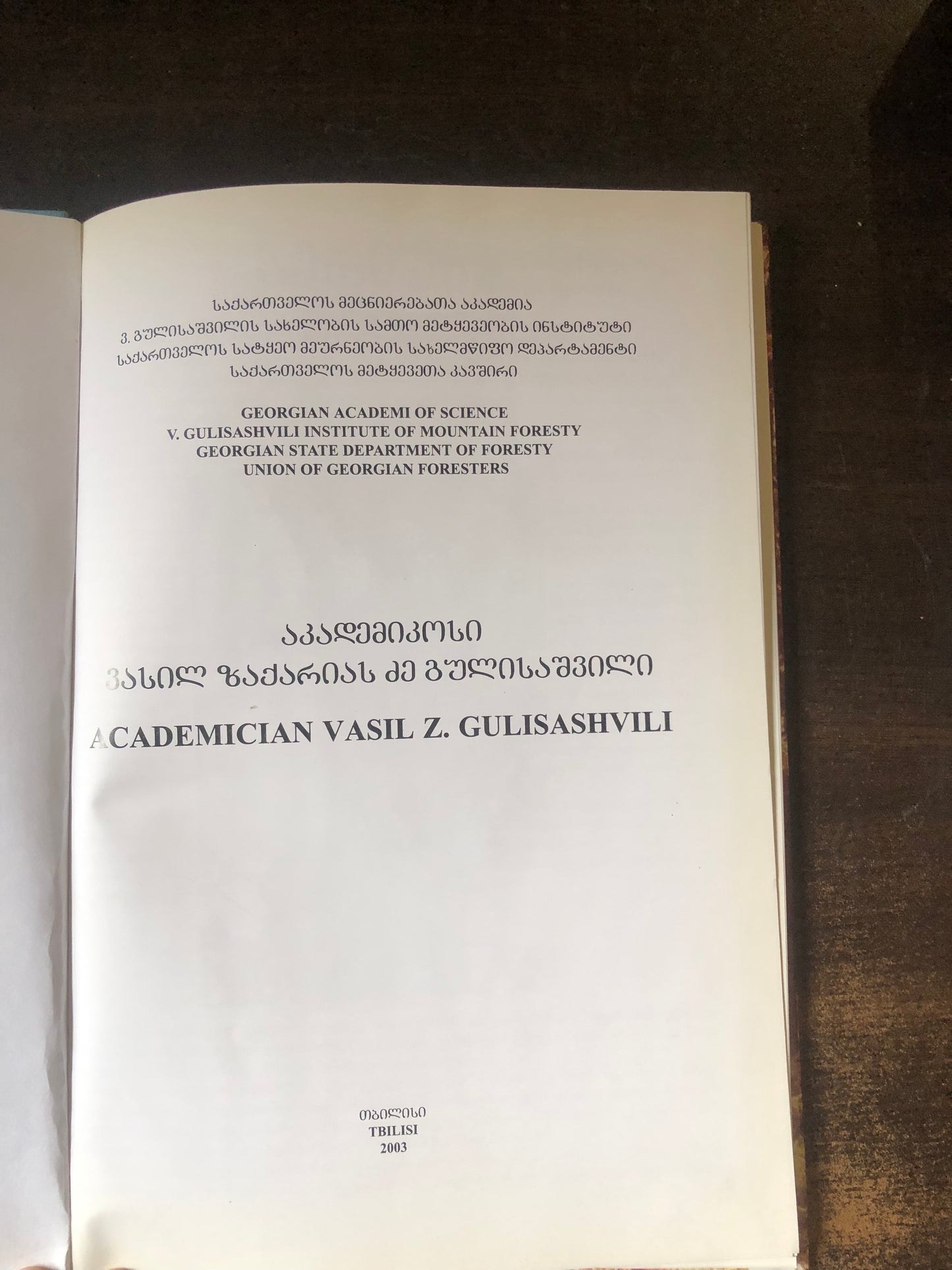 ვასილ გულისაშვილი 100