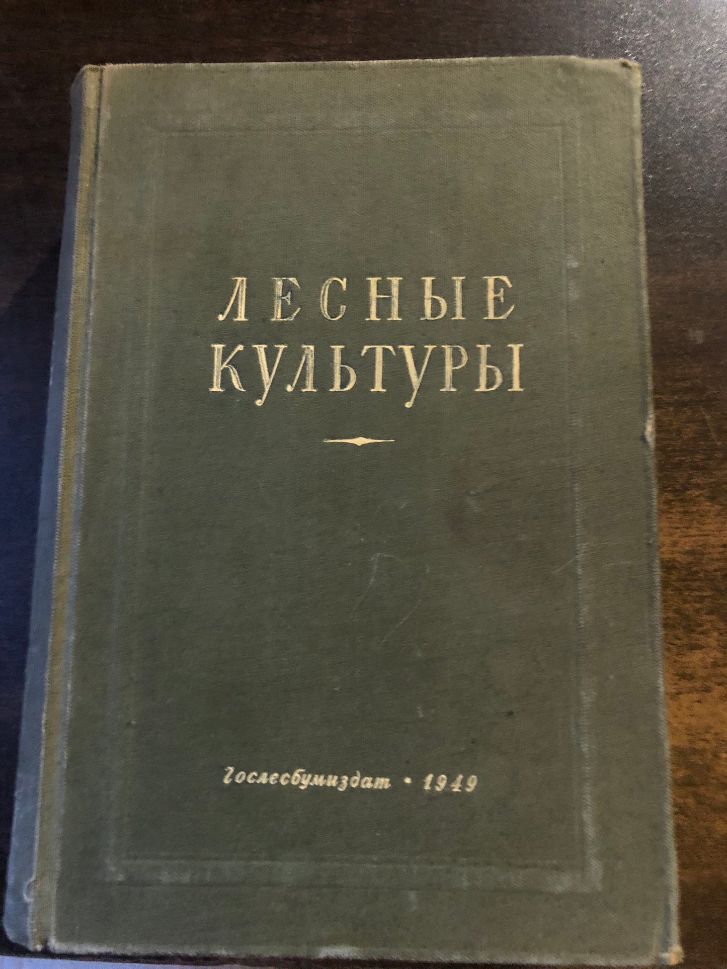 ЛЕСНЫЕ КУЛЬТУРЫ