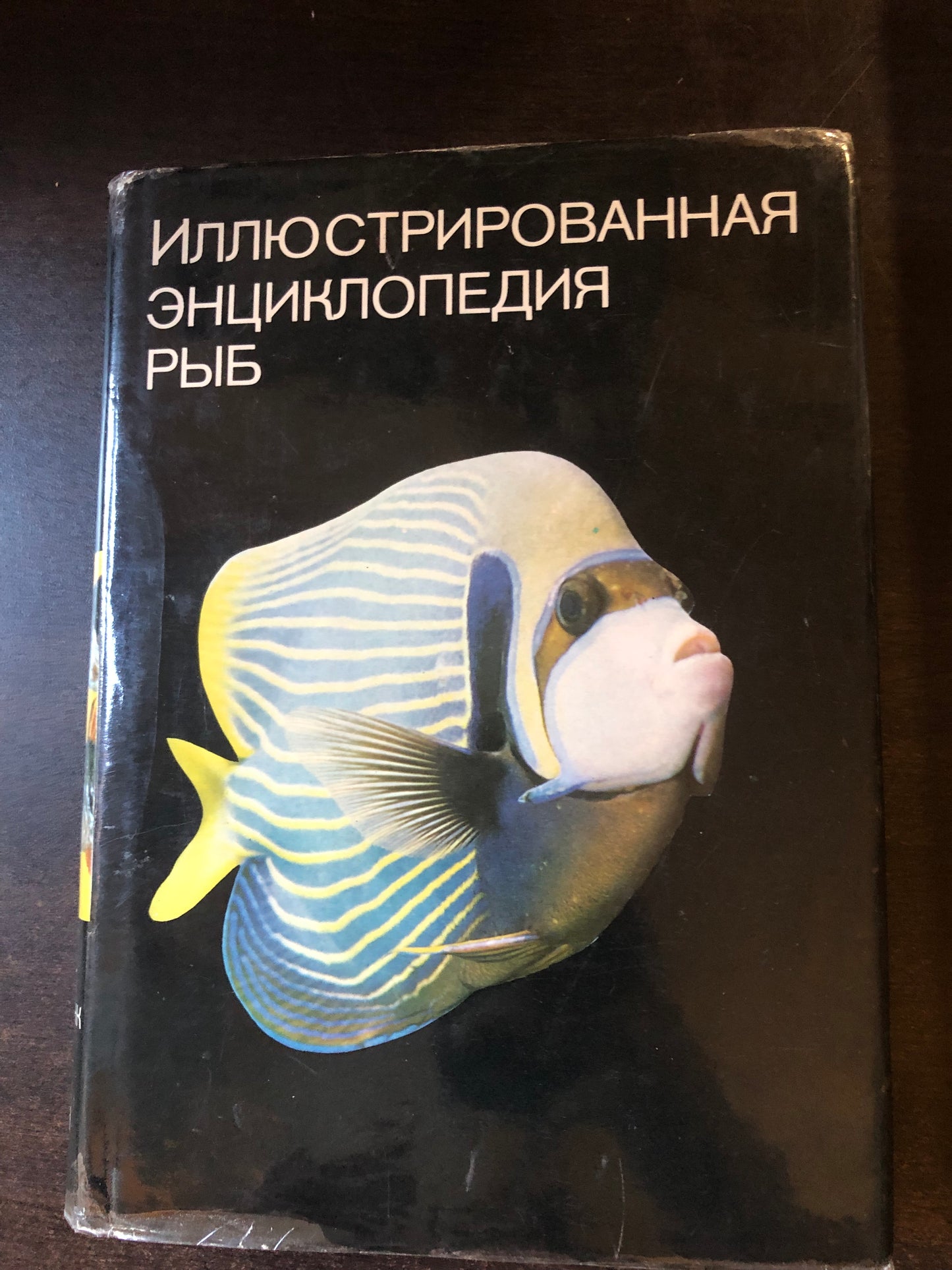 ИЛЛЮСТРИРОВАННАЯ ЭНЦИКЛОПЕДИЯ РЫБ