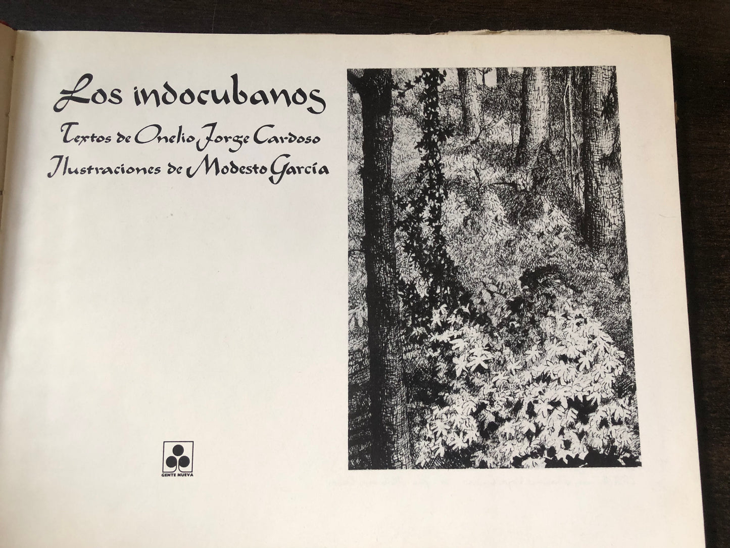 Los indocubanos