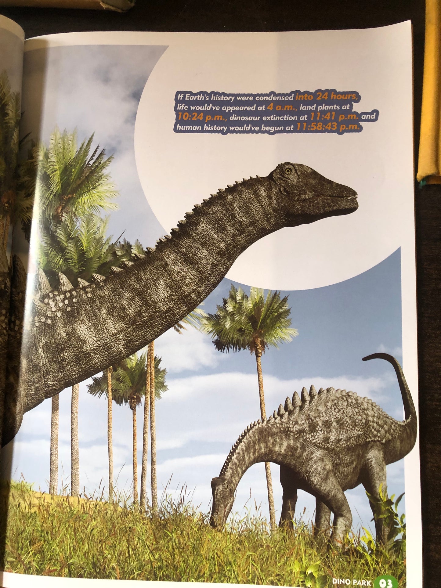 Dinosaur park