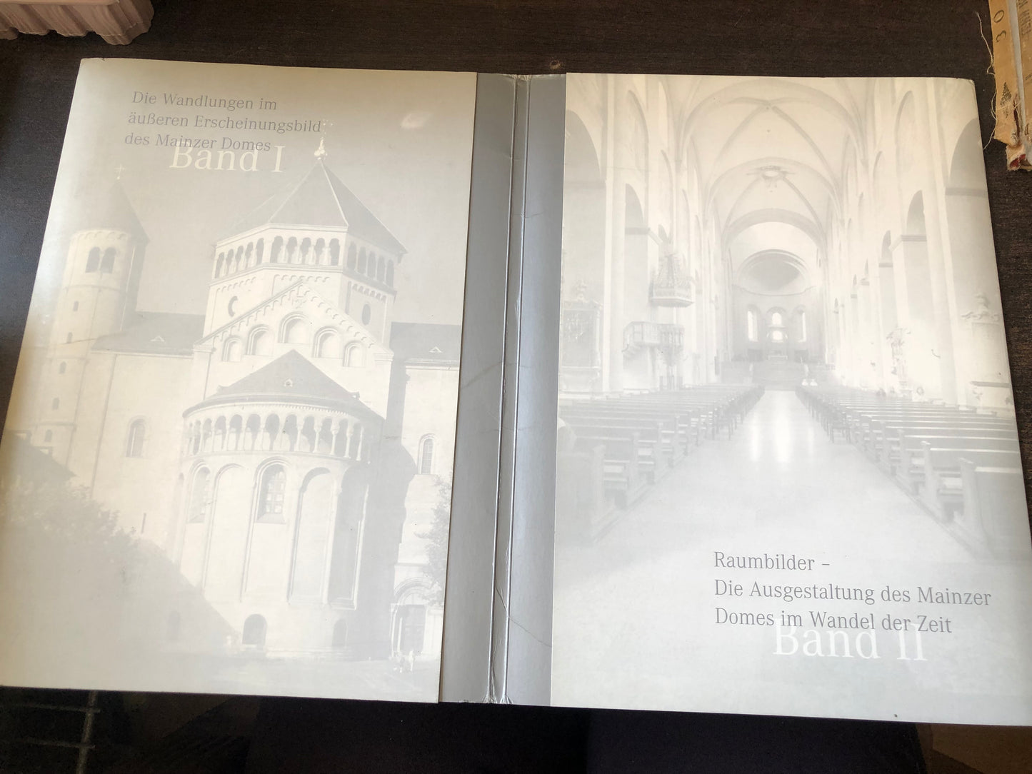 Der mainzer dom im wandel der zeit (band I +II)
