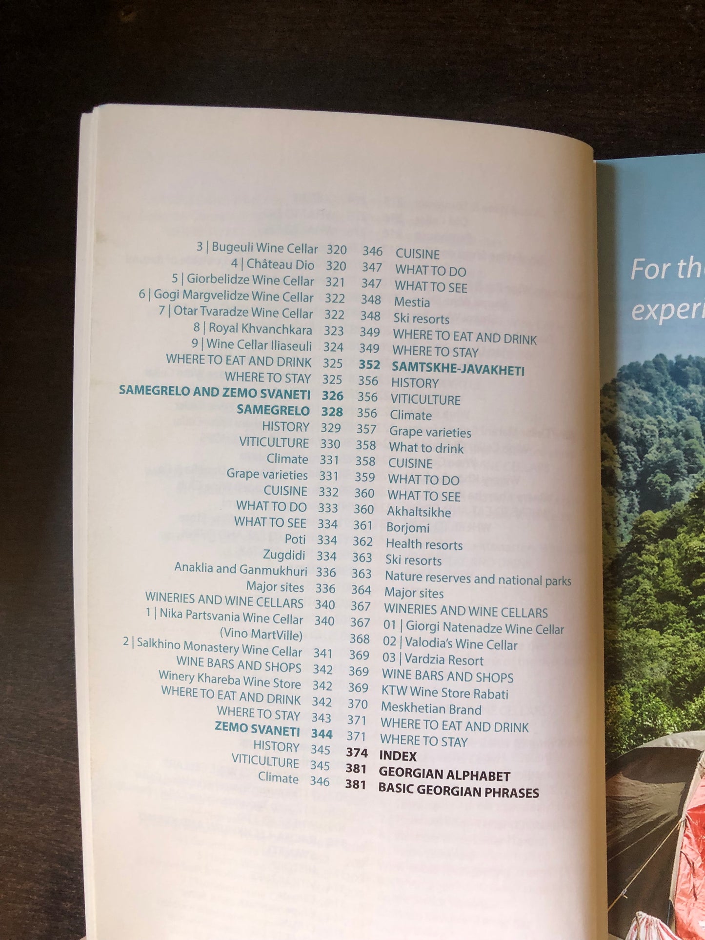 Georgian Wine Tourism Guide