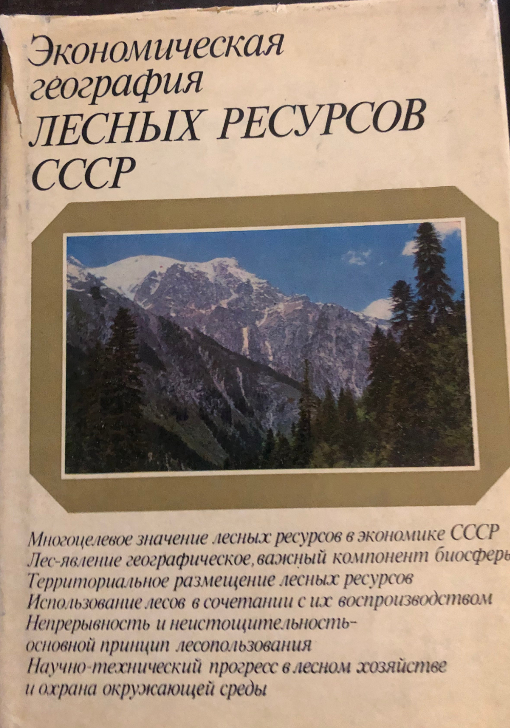 ЭКОНОМИЧЕСКАЯ ГЕОГРАФИЯ ЛЕСНЫХ РЕСУРСОВ СССР