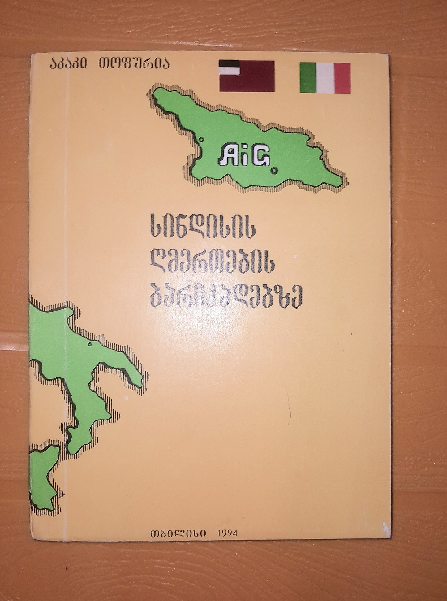 სინდისის ღმერთების ბარიკადებზე. ავტორი: აკაკი თოფურია