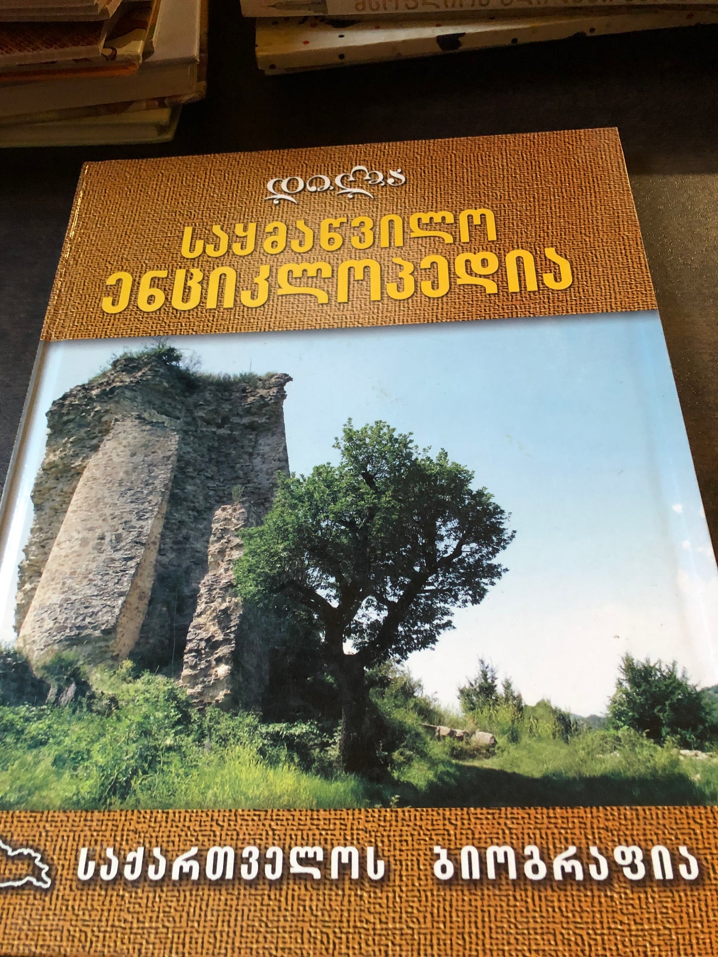 საყმაწვილო ენციკლოპედია საქართველოს ბიოგრაფია