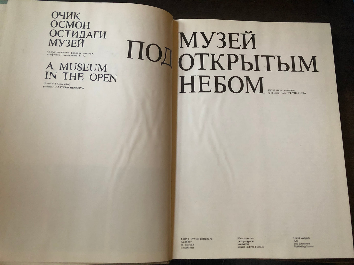 МУЗЕЙ ПО ОТКРЫТЫМ НЕБОМ