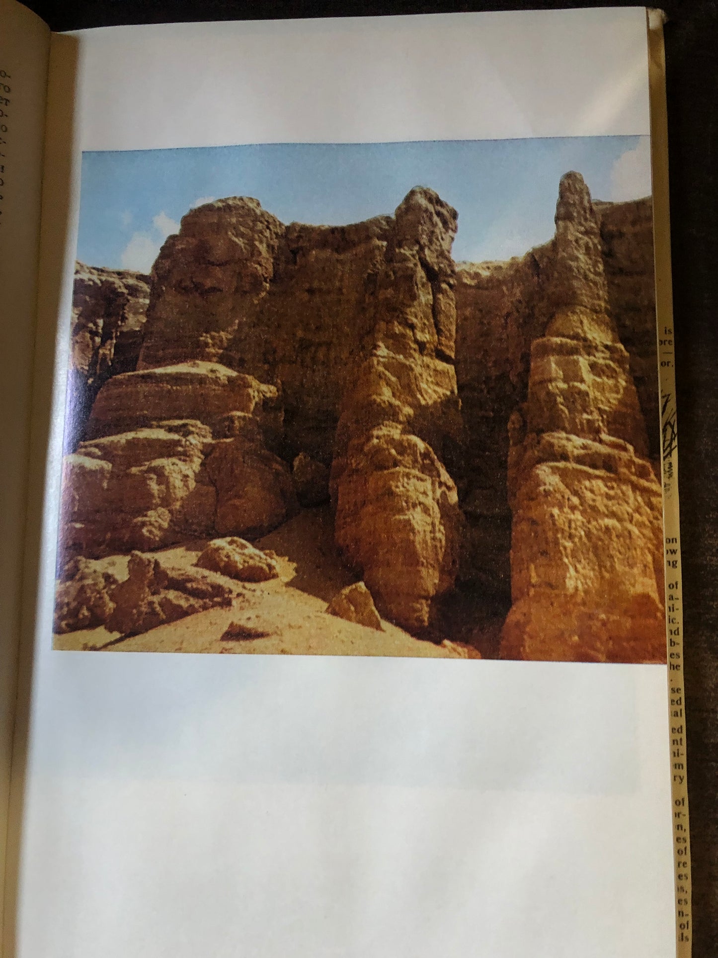 КРАСНАЯ КНИГА КАЗАХСКОЙ ССР