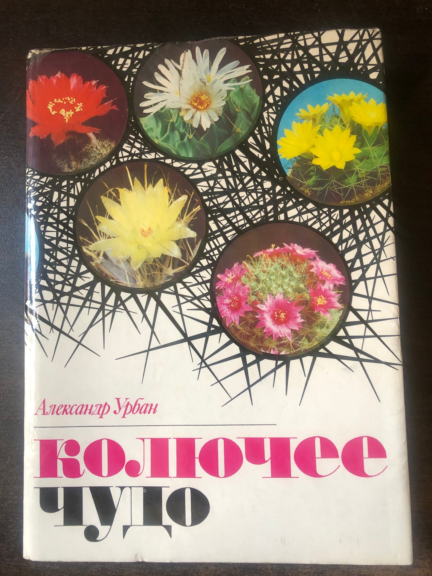 КОЛЮЧЕЕ ЧУДО