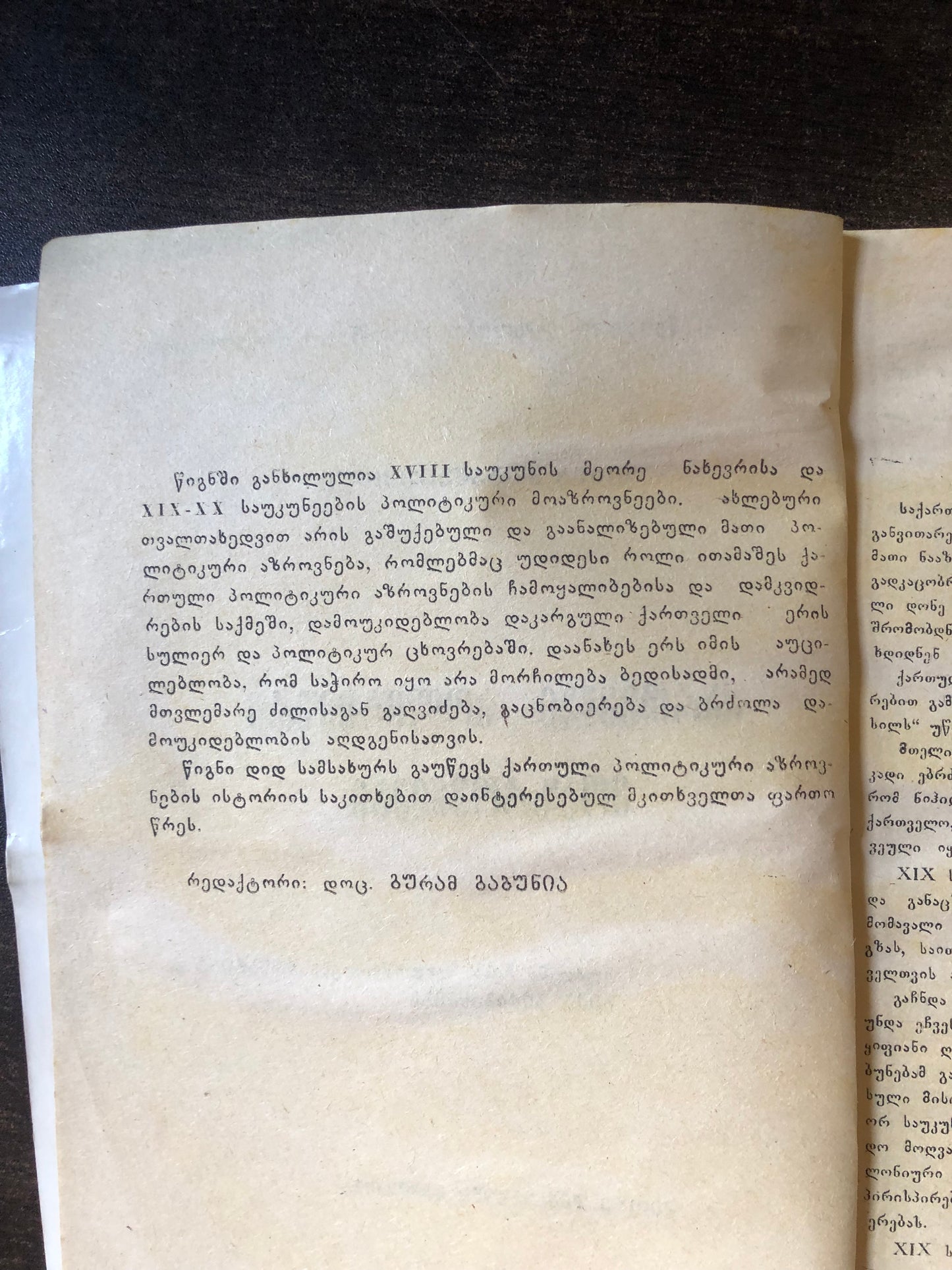 თინა ყუბანეიშვილი - ქართველი პოლიტიკური მოზროვნეები