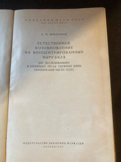 ЕСТЕСТВЕННОЕ ВОЗОБНОВЛЕНИЕ НА КОНЦЕРТРИРОВАННЫХ ВЫРУБКАХ
