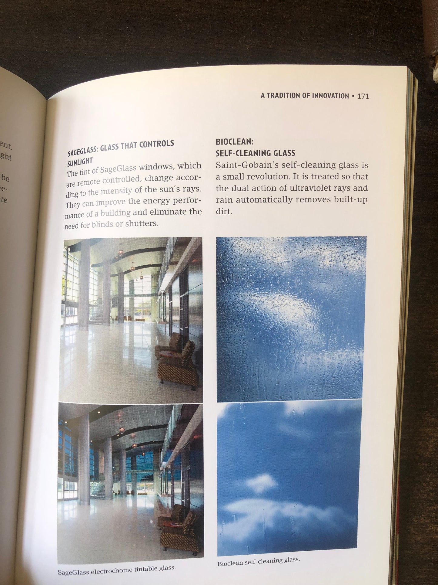 Marie de Laubier - saint-gobain 1666-2015 the history of the future